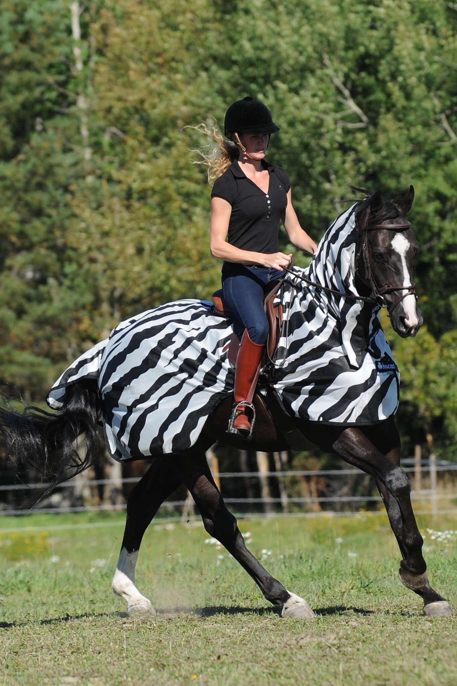 Bucas Buzz-Off Zebra Fliegenausreitdecke