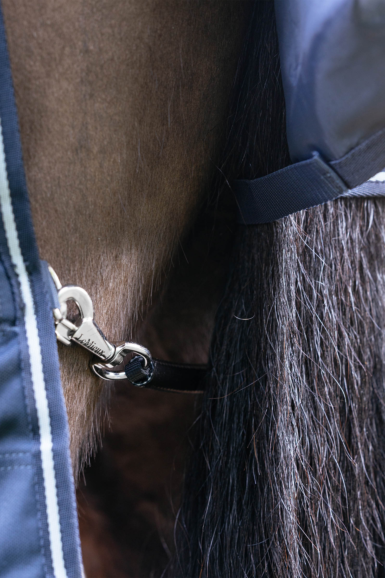 LeMieux Arika Storm-Tek Weidedecke mit abnehmbarem Halsstück, 200 g