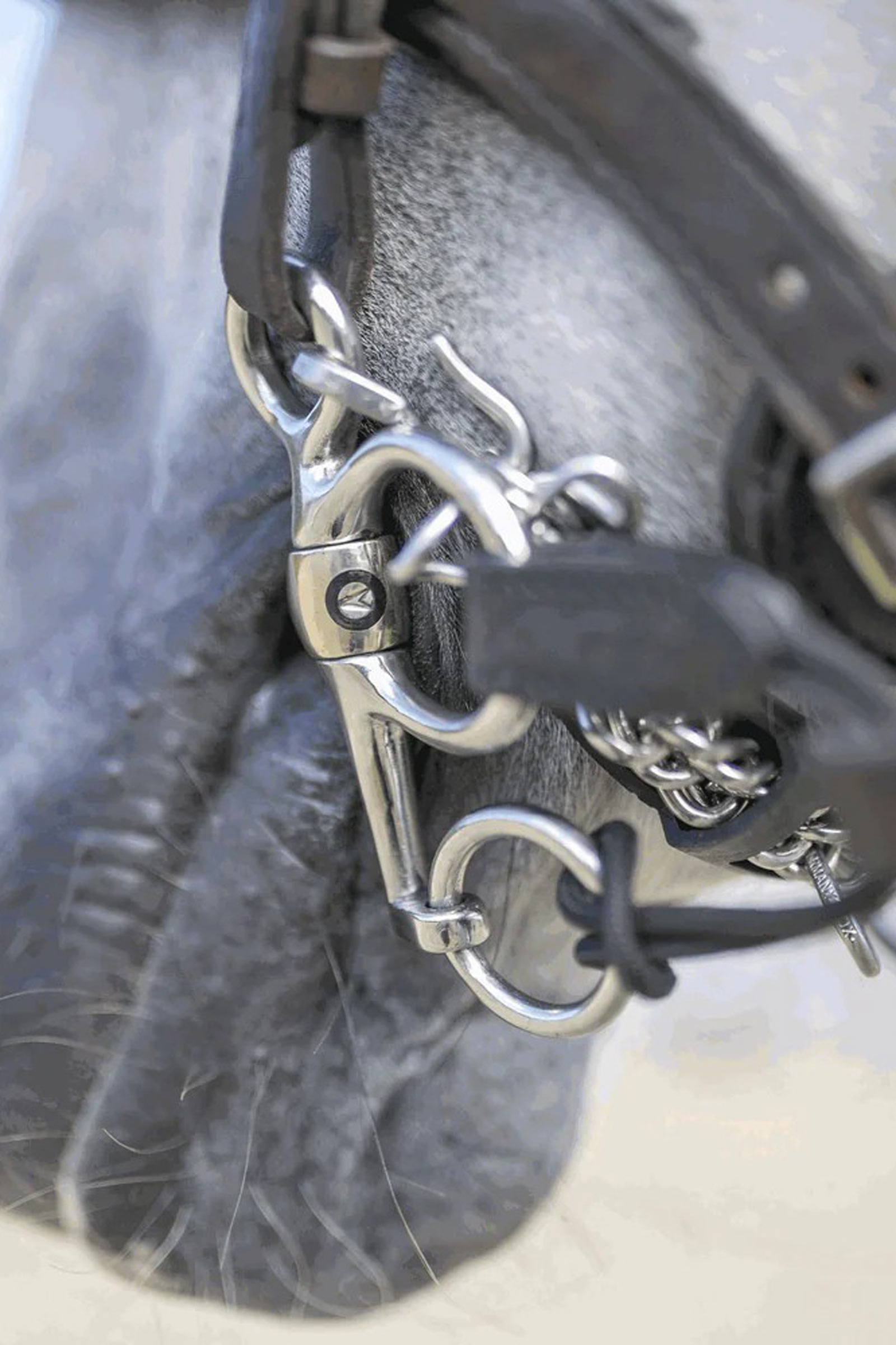 Sprenger Dynamic RS Pelham, Sensogan, doppelt gebrochen, 16 mm