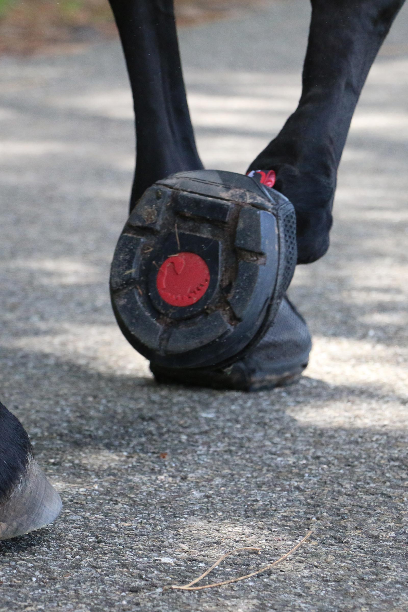 Cavallo Hoof Boots F.R.A. Trek SRS Hufschuhe (regulär/Paar)