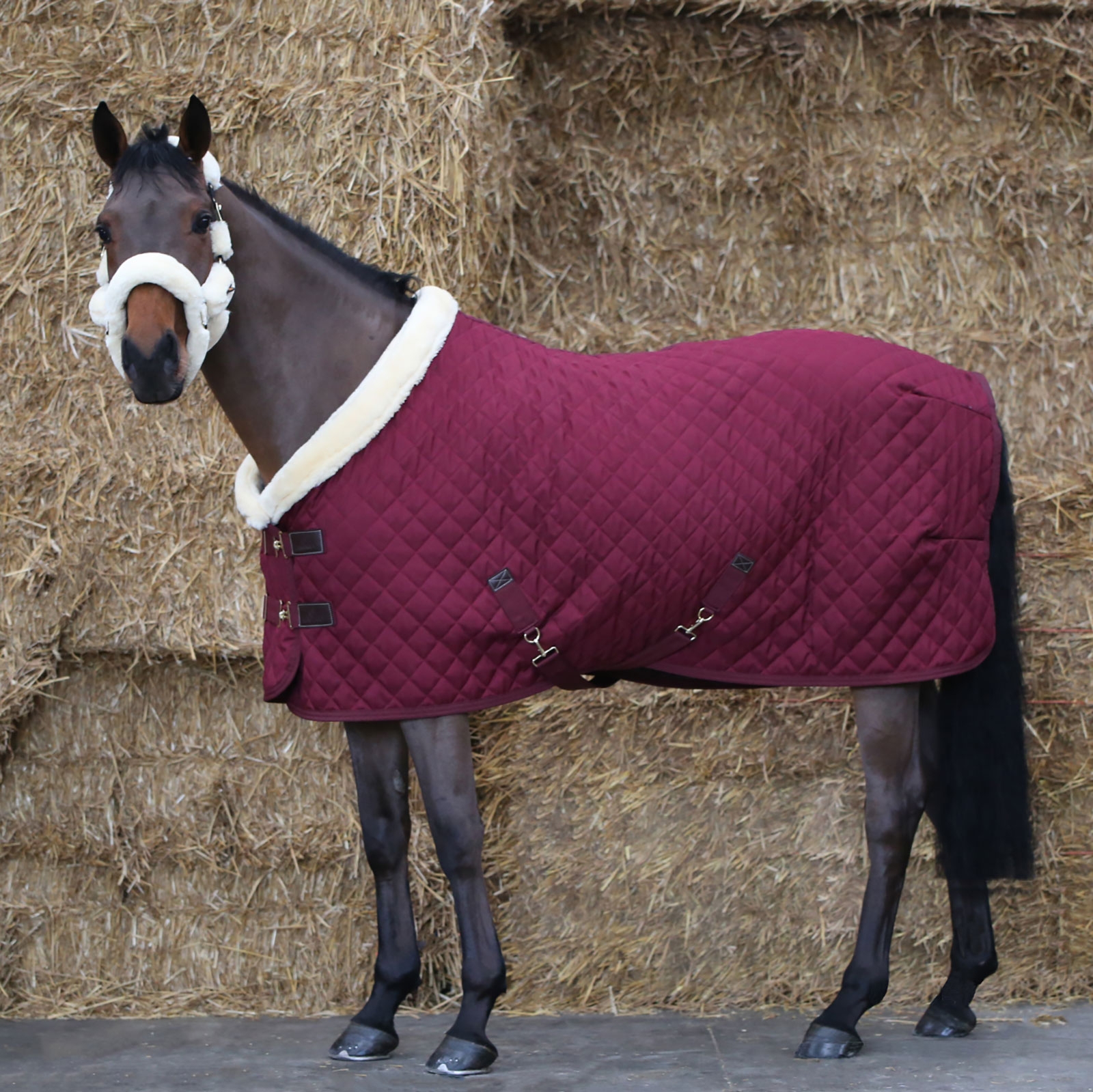 Dark Red Kentucky Horsewear Turnierdecke,160g