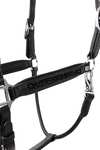 Horze Delémont Lederhalfter