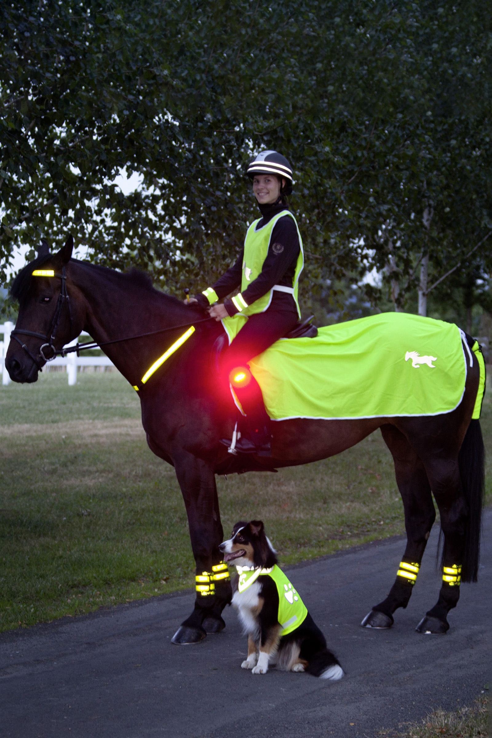 Yellow USG Reflektierende Decke