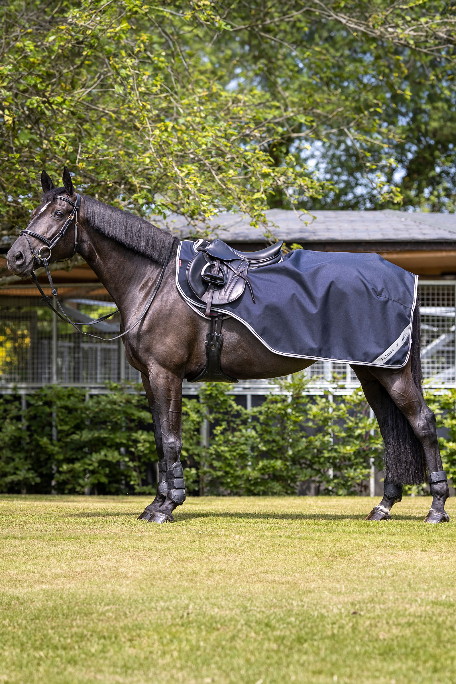 LeMieux Arika Trainingsdecke
