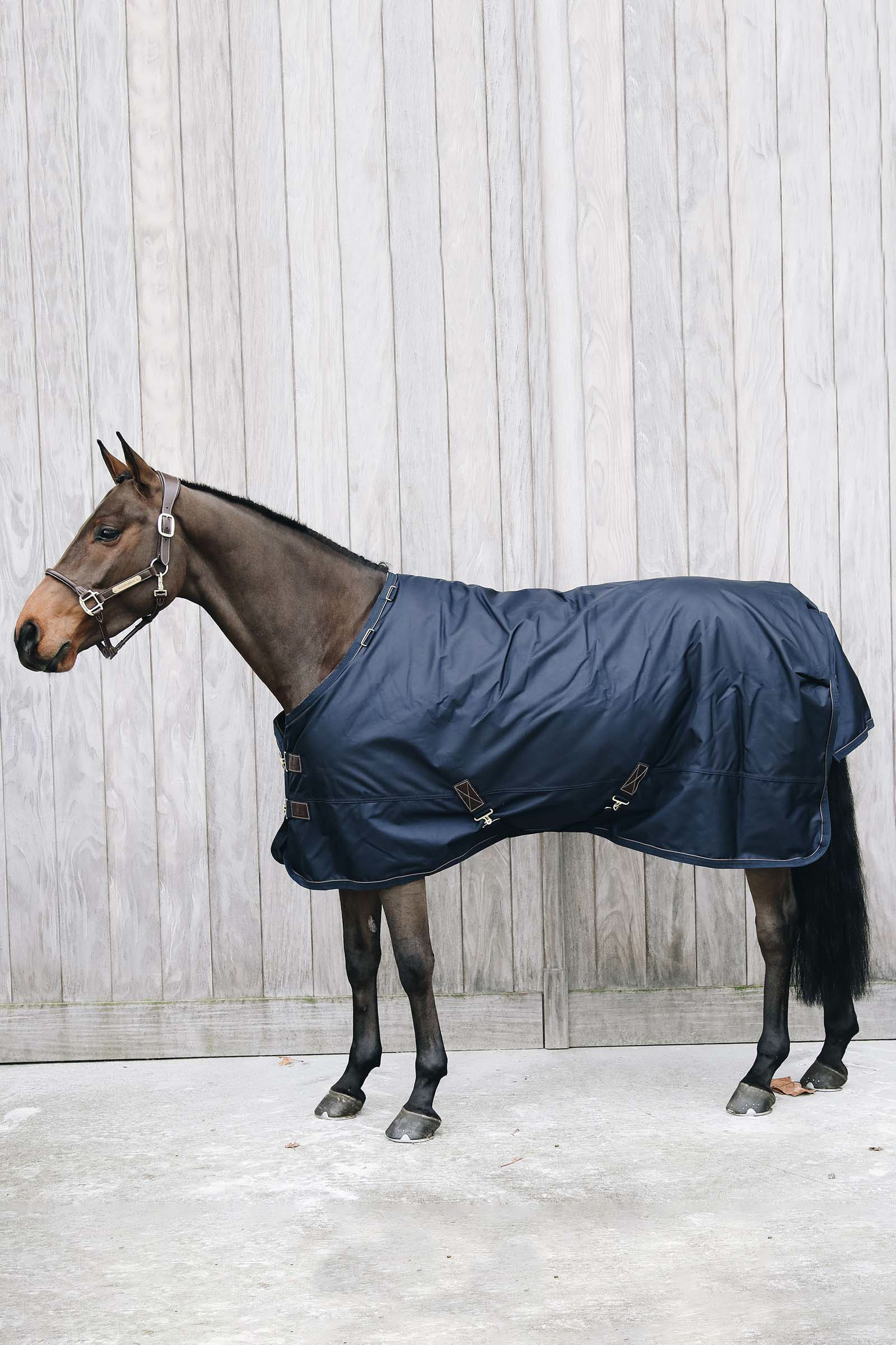 Kentucky Horsewear All Weather Waterproof Pro Weidedecke, 0g