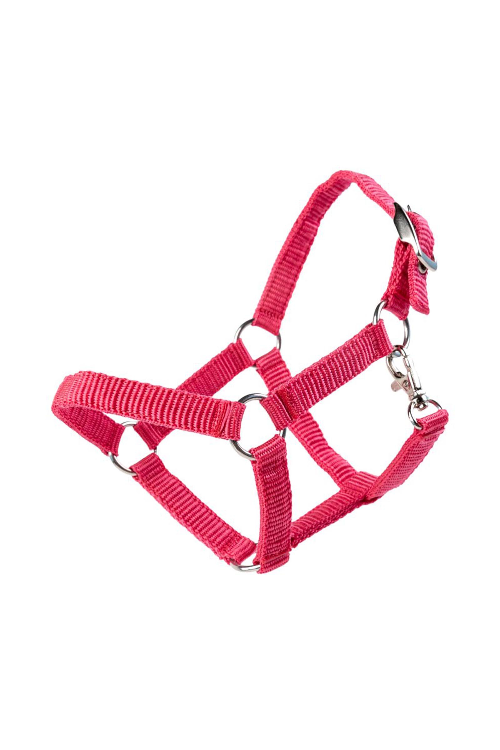 My Hobby Horse Nylonhalfter