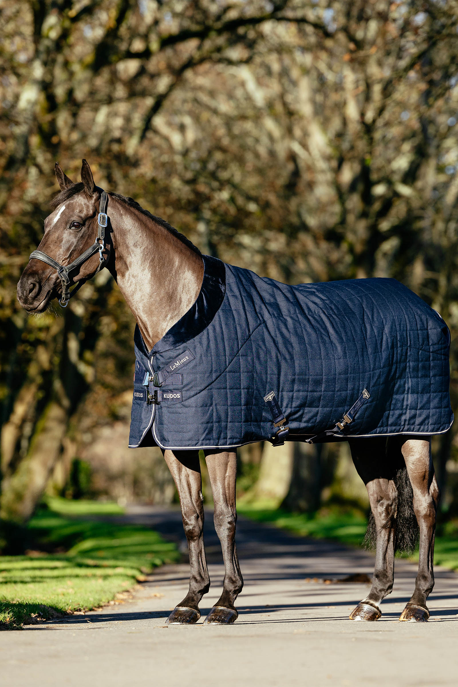 LeMieux Kudos Luxe gefütterte Stalldecke, 100 g