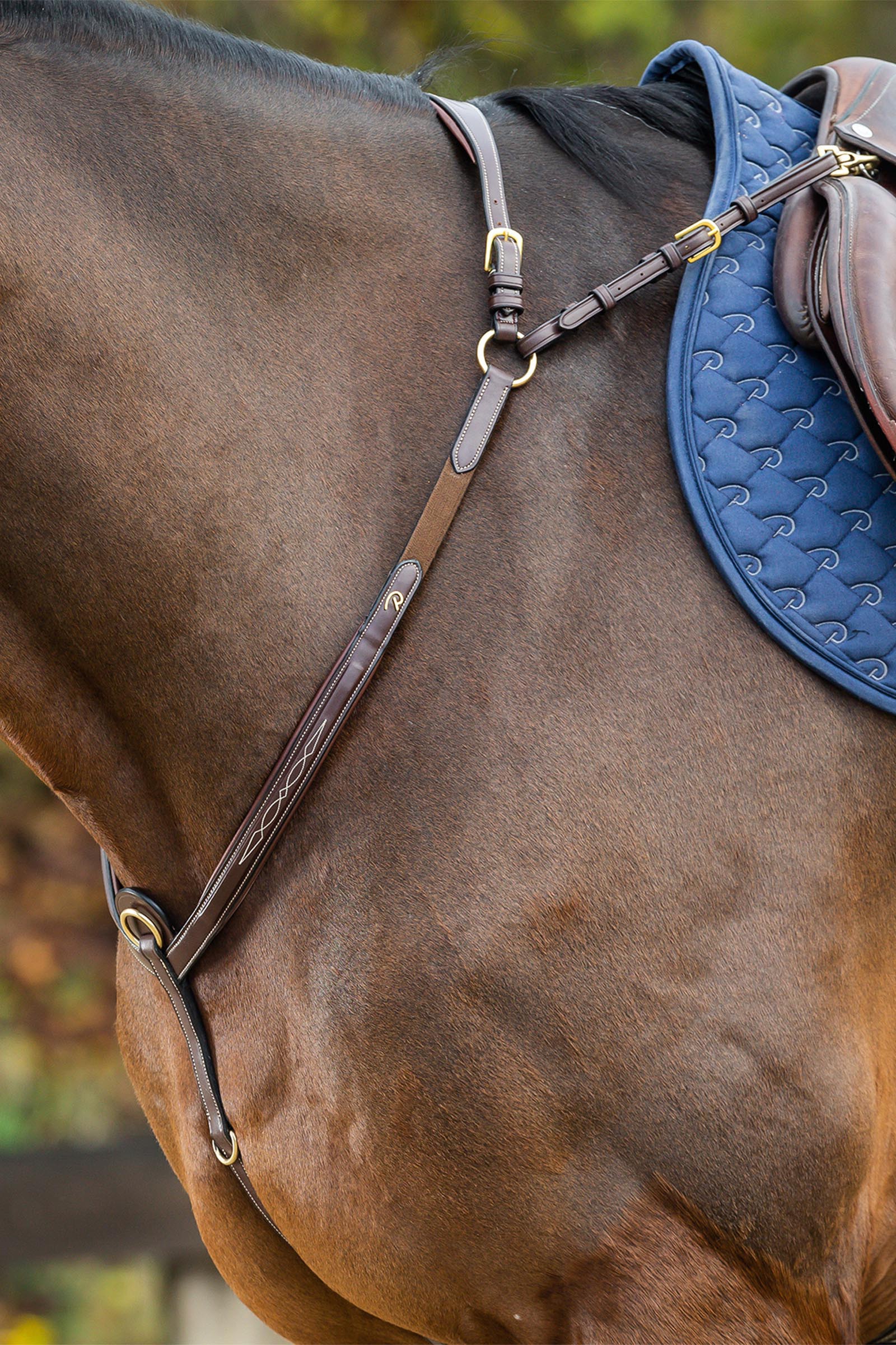 Dy'on D Collection Vorderzeug mit Br&uuml;cke