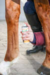 Stiefel Zink Spray