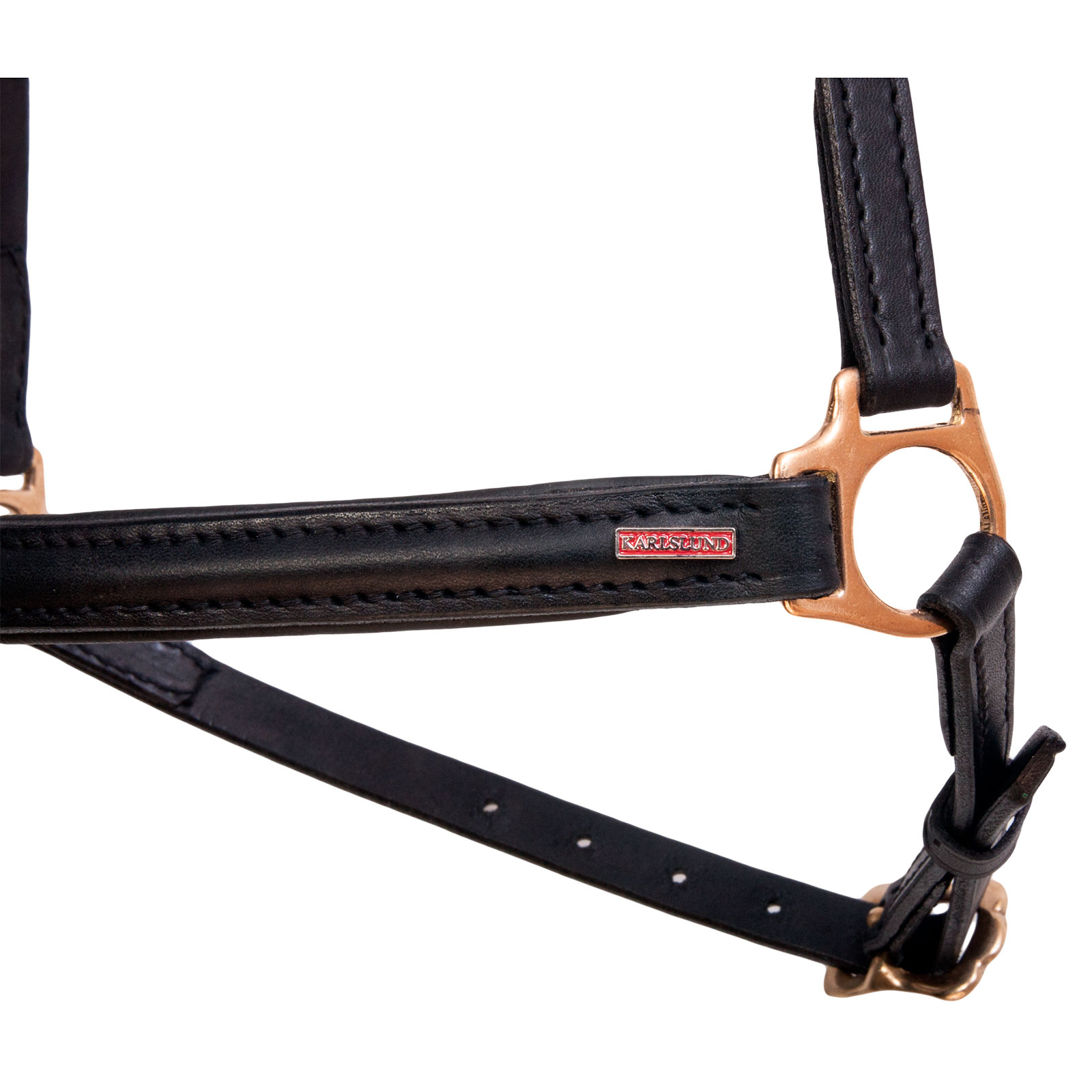 Iceland hannoversches Reithalfter