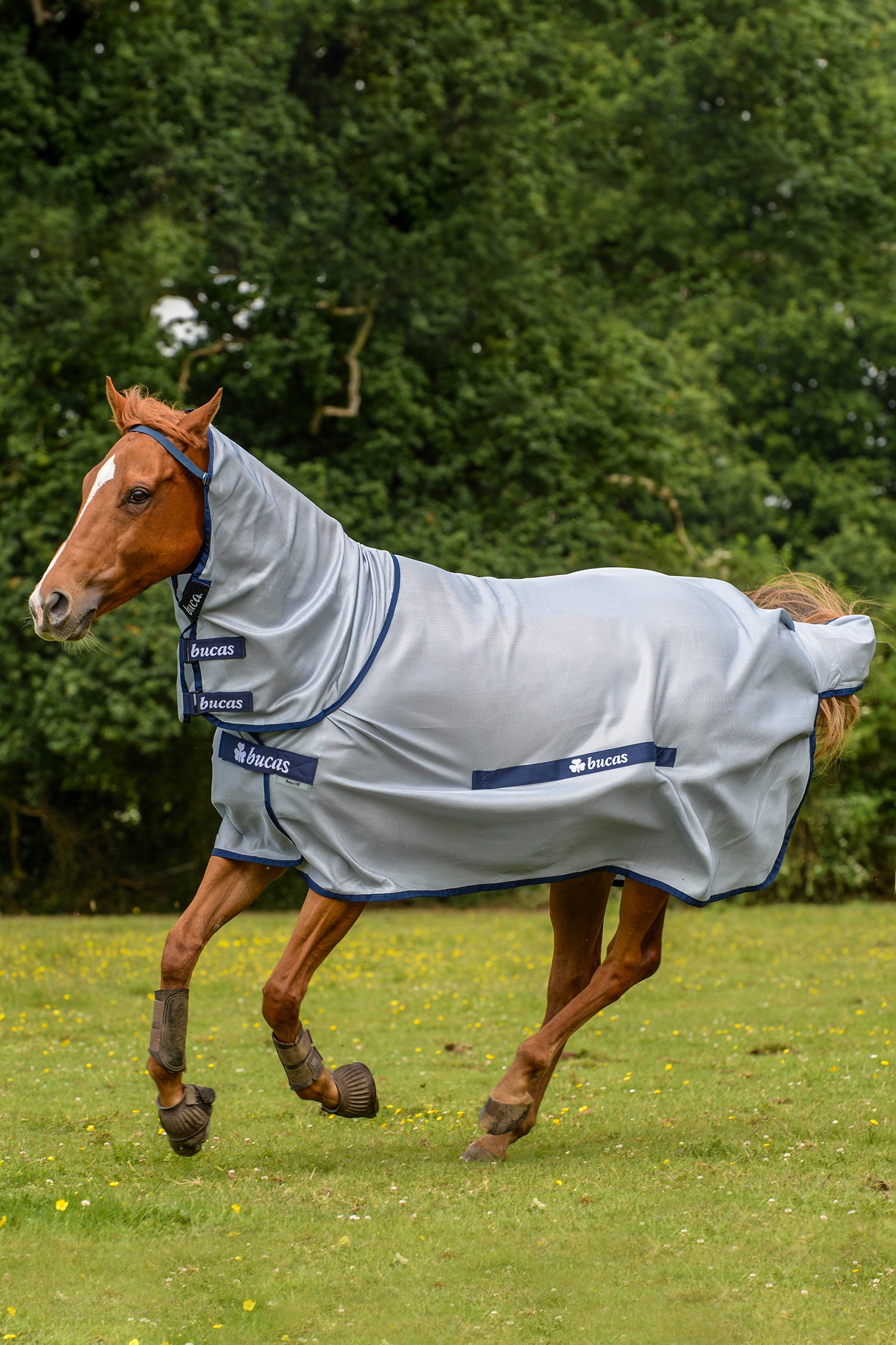Bucas Buzz-Off Full Neck Fliegendecke Pony mit festem Halsteil