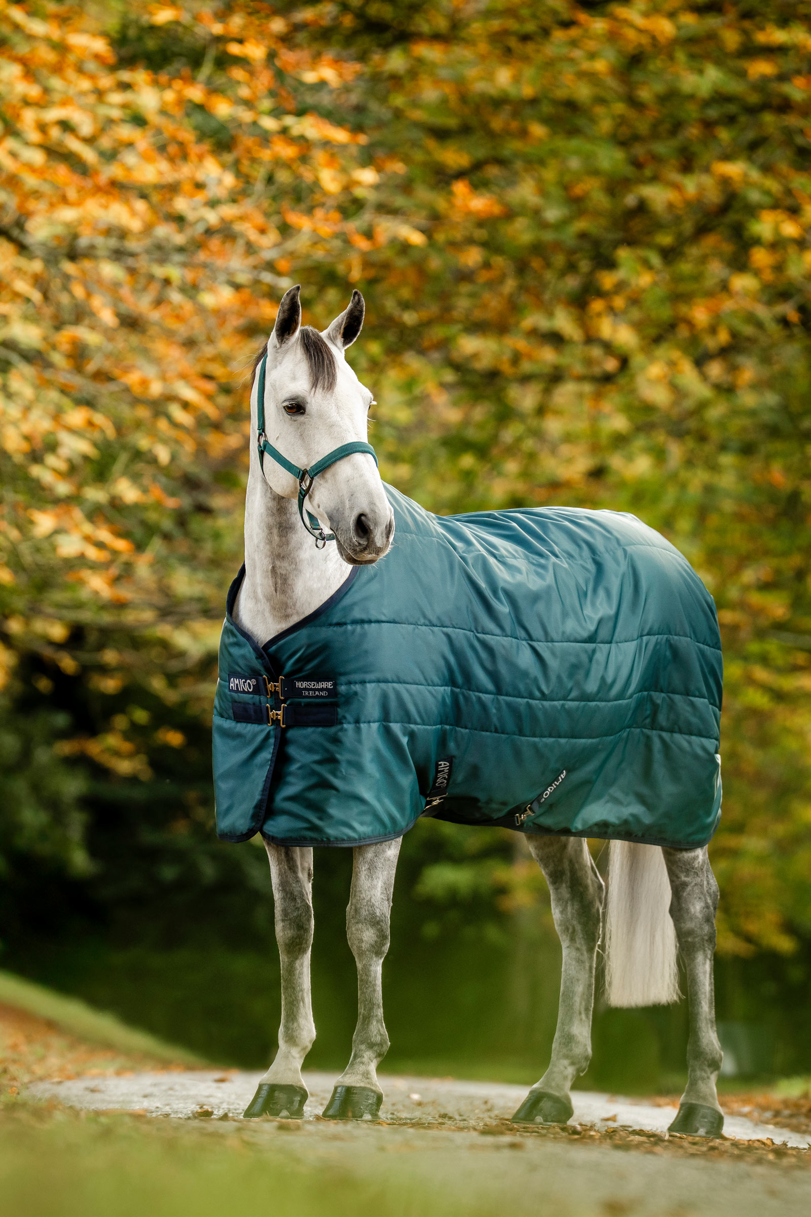 Dynasty Green/Navy/Silver Horseware Amigo Diamond Insulator Stalldecke, 100 g