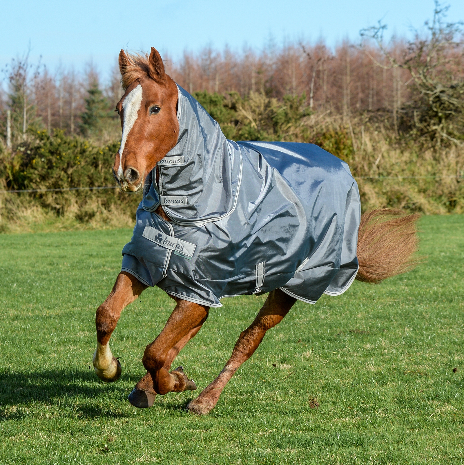 Bucas Smartex Combi Neck Halsteil 300