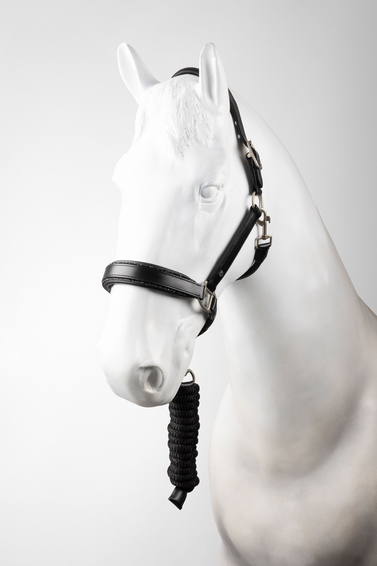 Horze Dynasty Leder Halfter & Führstrick Set