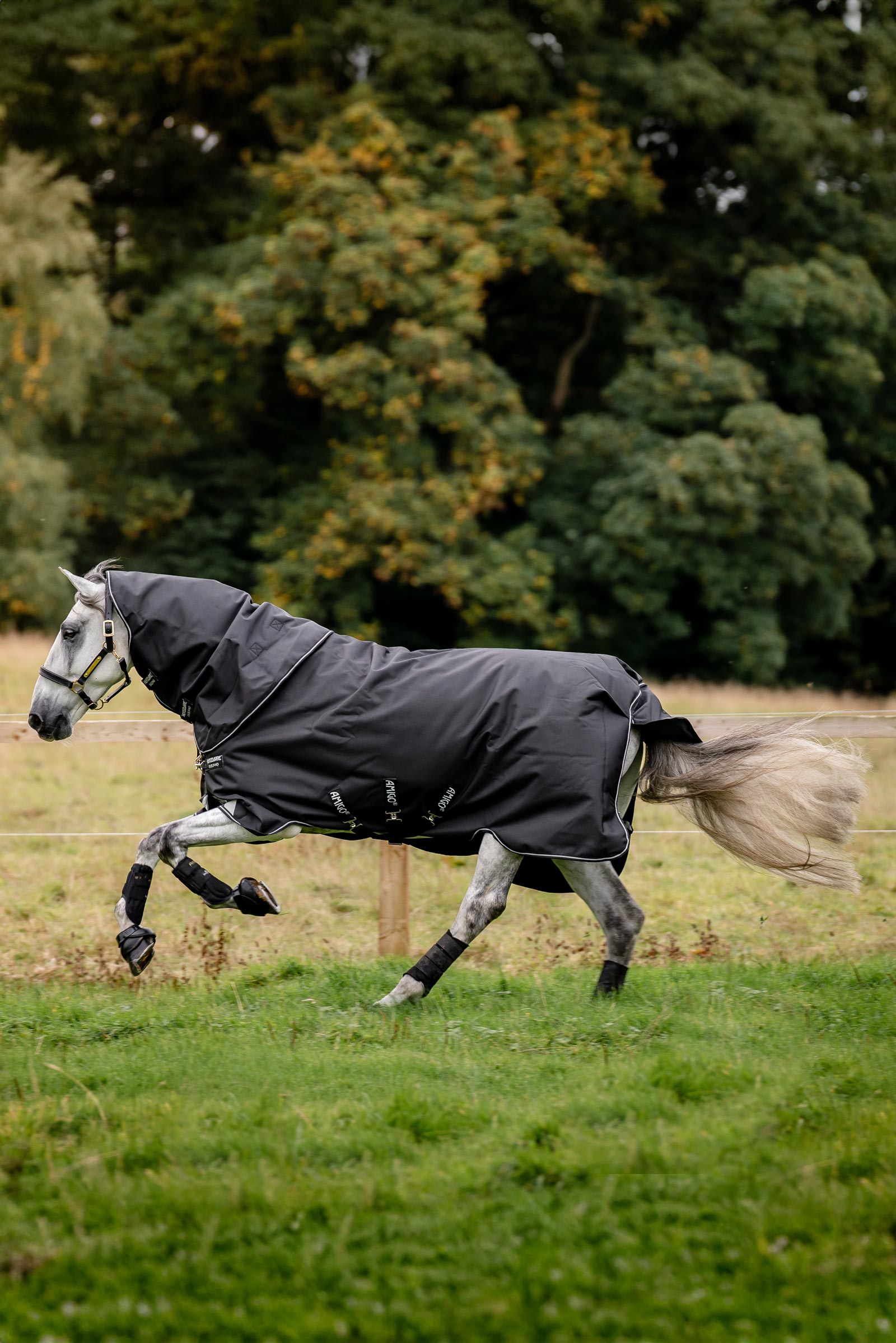 Horseware Amigo Super Bravo Plus Weidedecke mit abnehmbarem Halsteil, 250 g