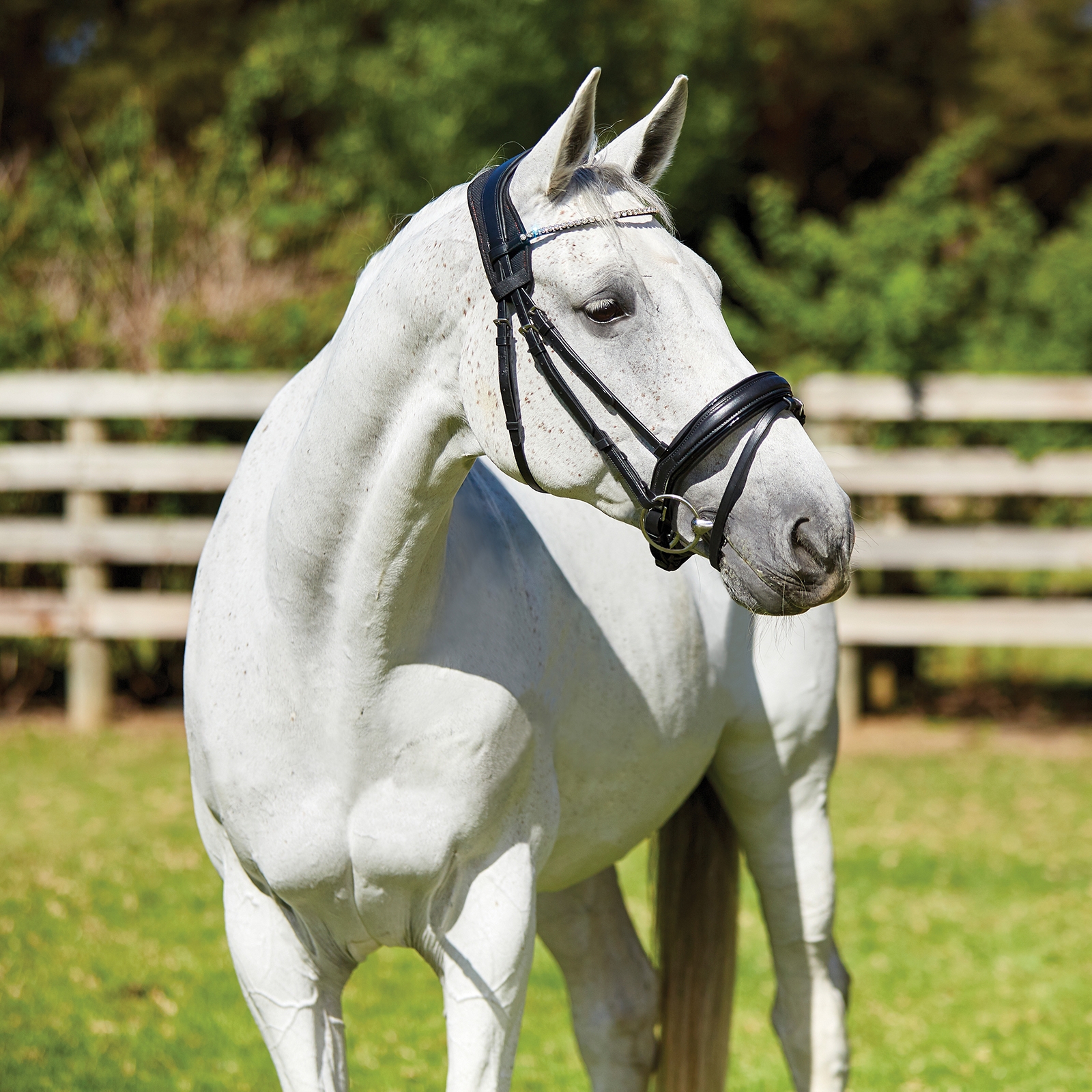 Weatherbeeta Therapy-tec Anatomischer Genickschoner