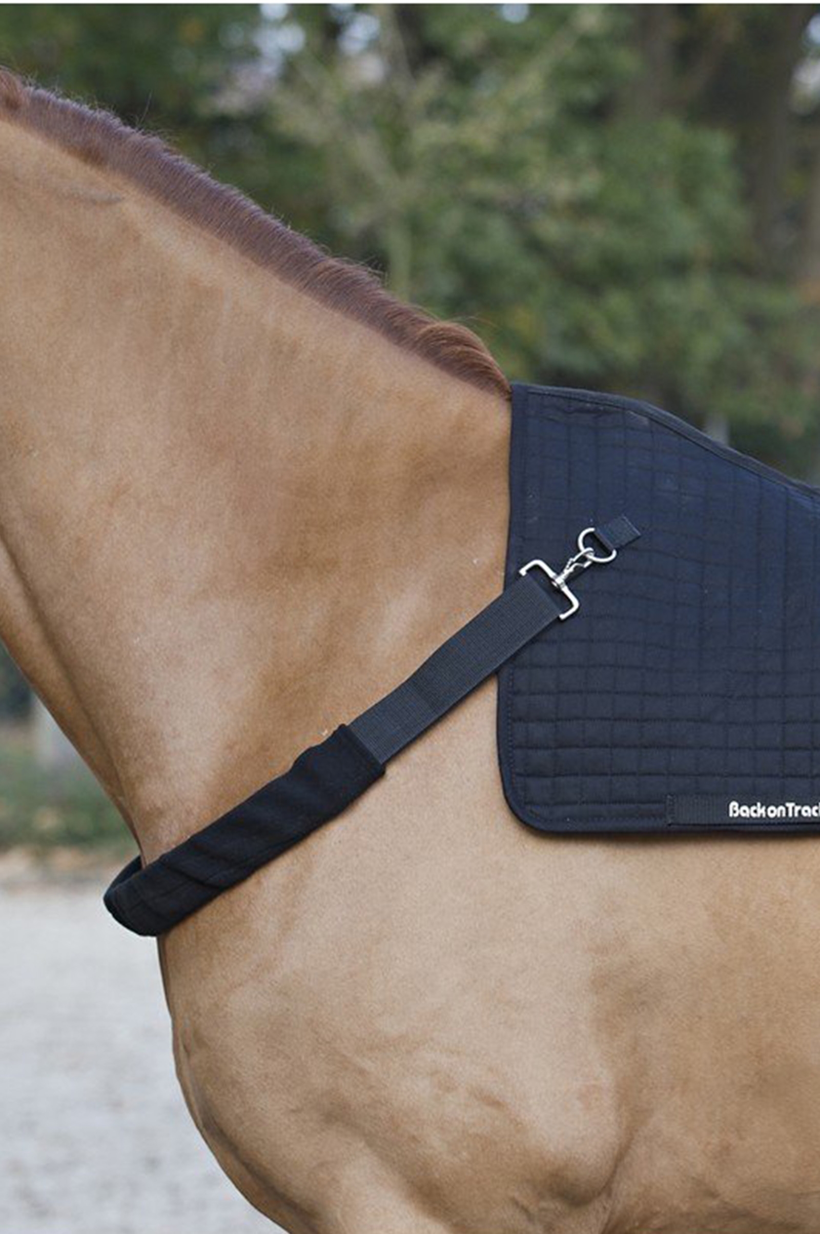 Back on Track Brustteil