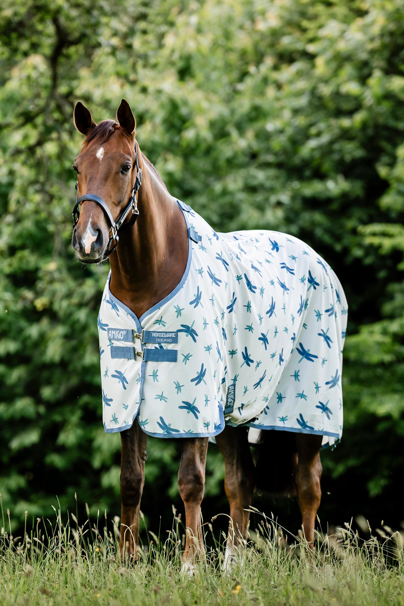 Dragonfly Print/Silver, Blue & Sage Horseware Amigo Fliegendecke mit UV-Schutz