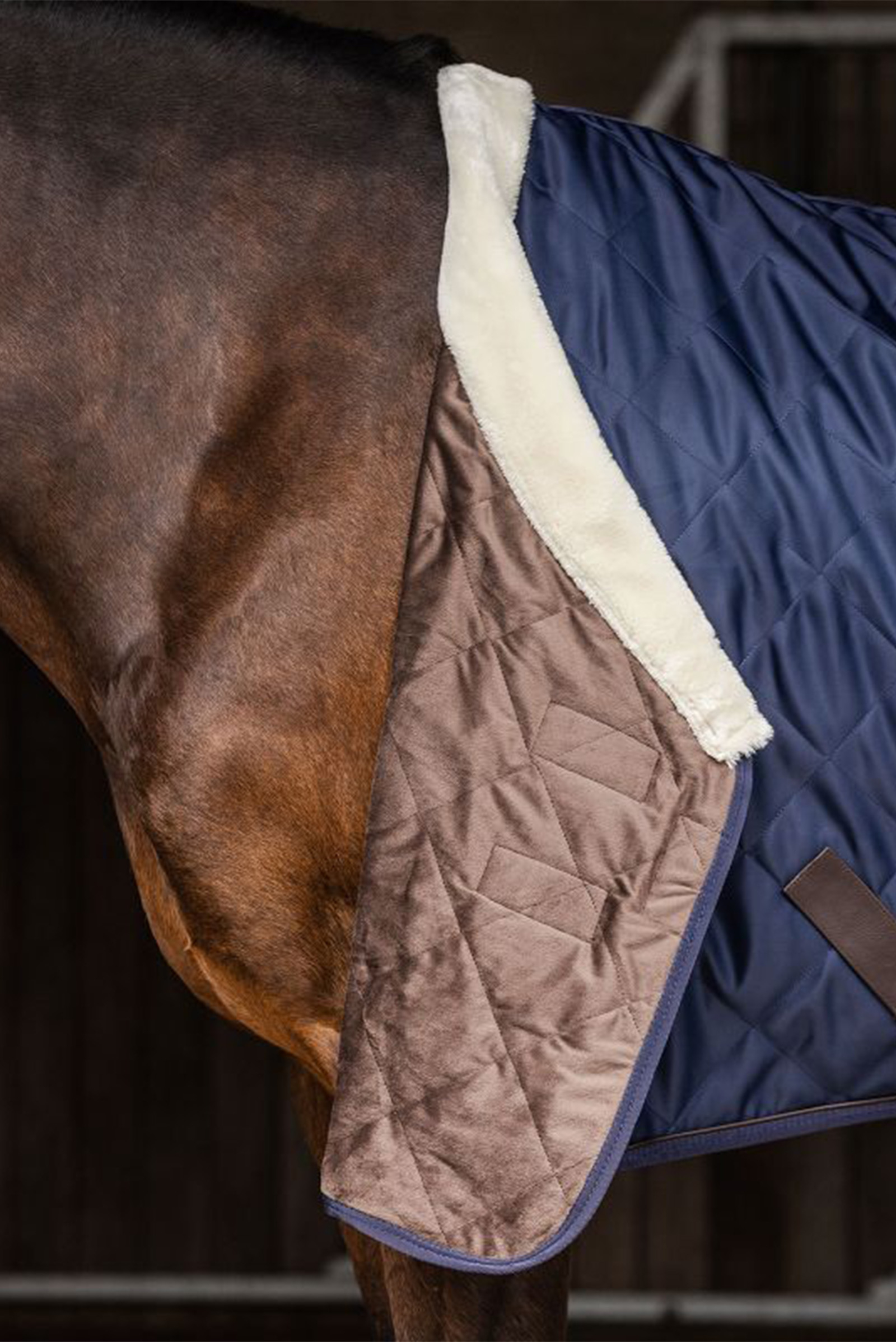 Waldhausen Transportdecke Exclusive, 50g