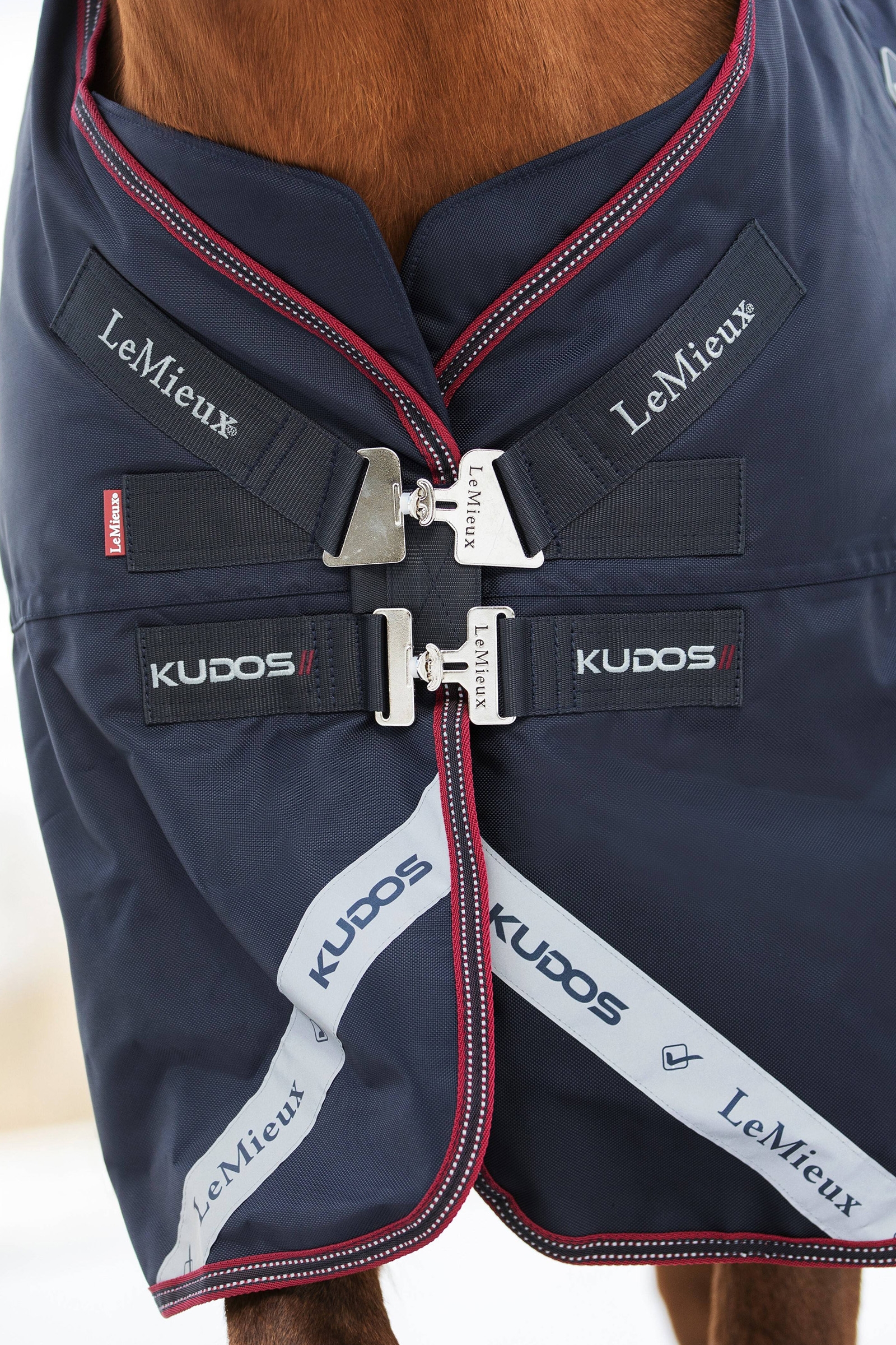 LeMieux Kudos leichte Weidedecke, 50g