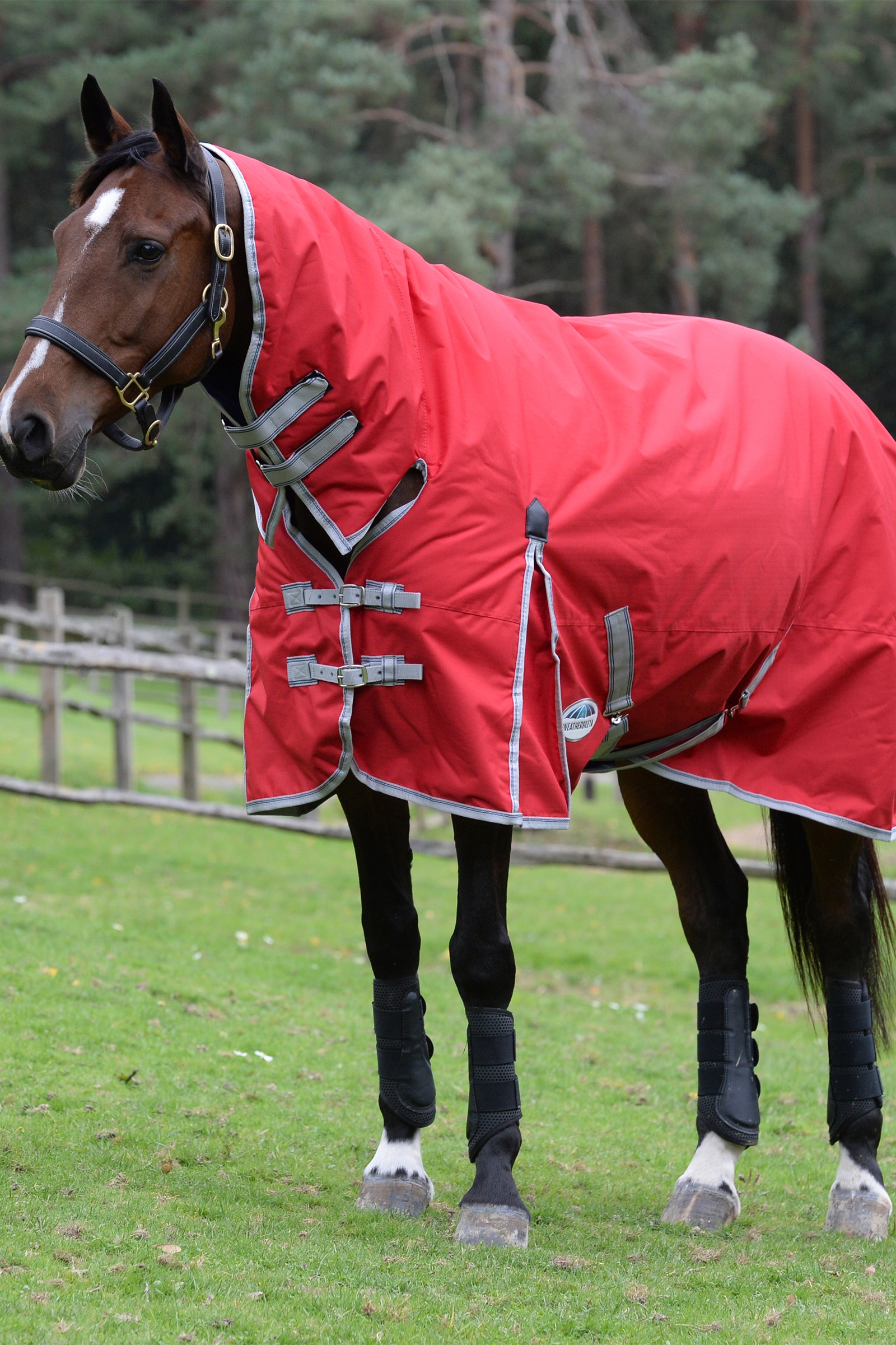 Weatherbeeta Comfitec Classic Weidedecke mit integriertem Halsteil, 50g