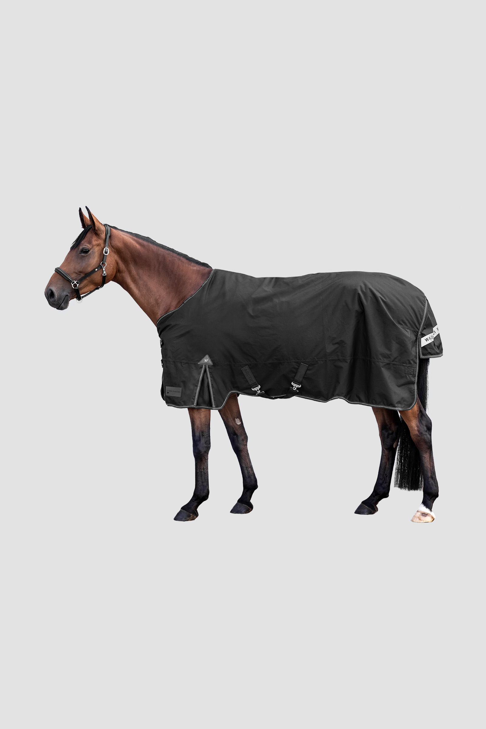 Black Waldhausen Outdoor Rug Arctic 300 g