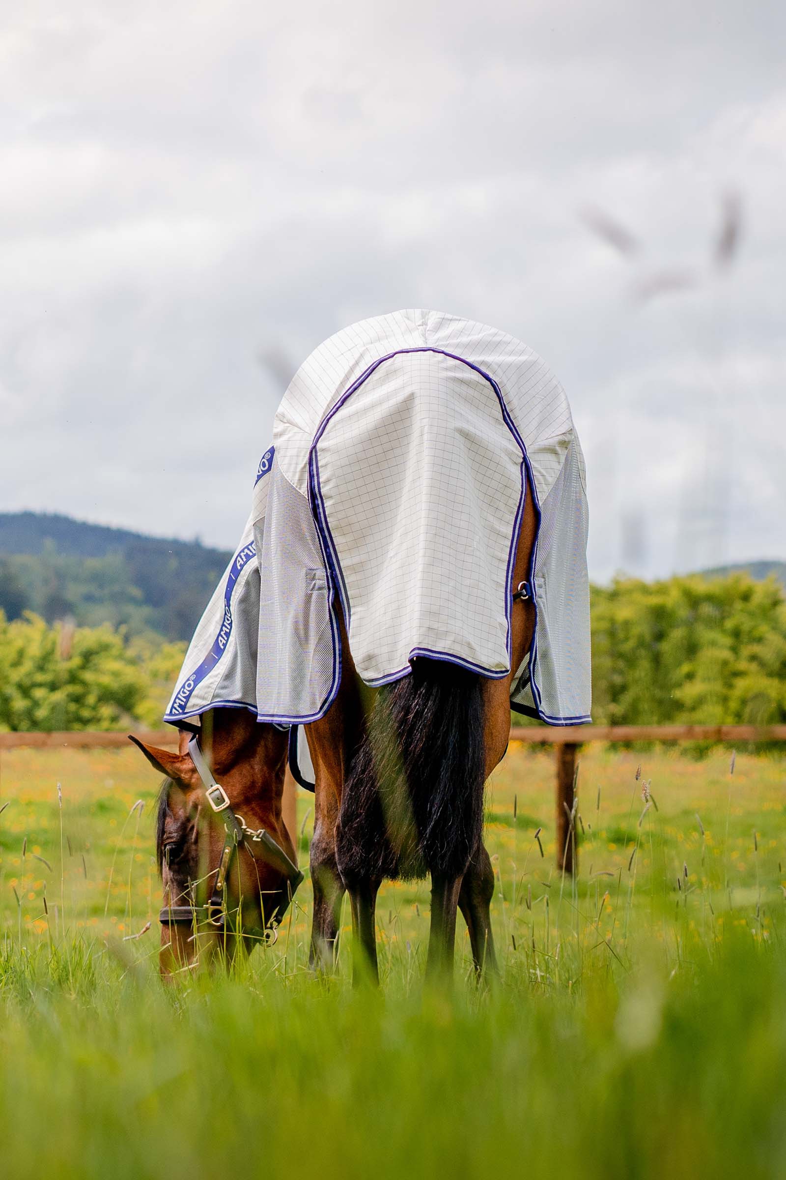 Horseware Amigo Airflow Fliegendecke mit abnehmbarem Halsteil