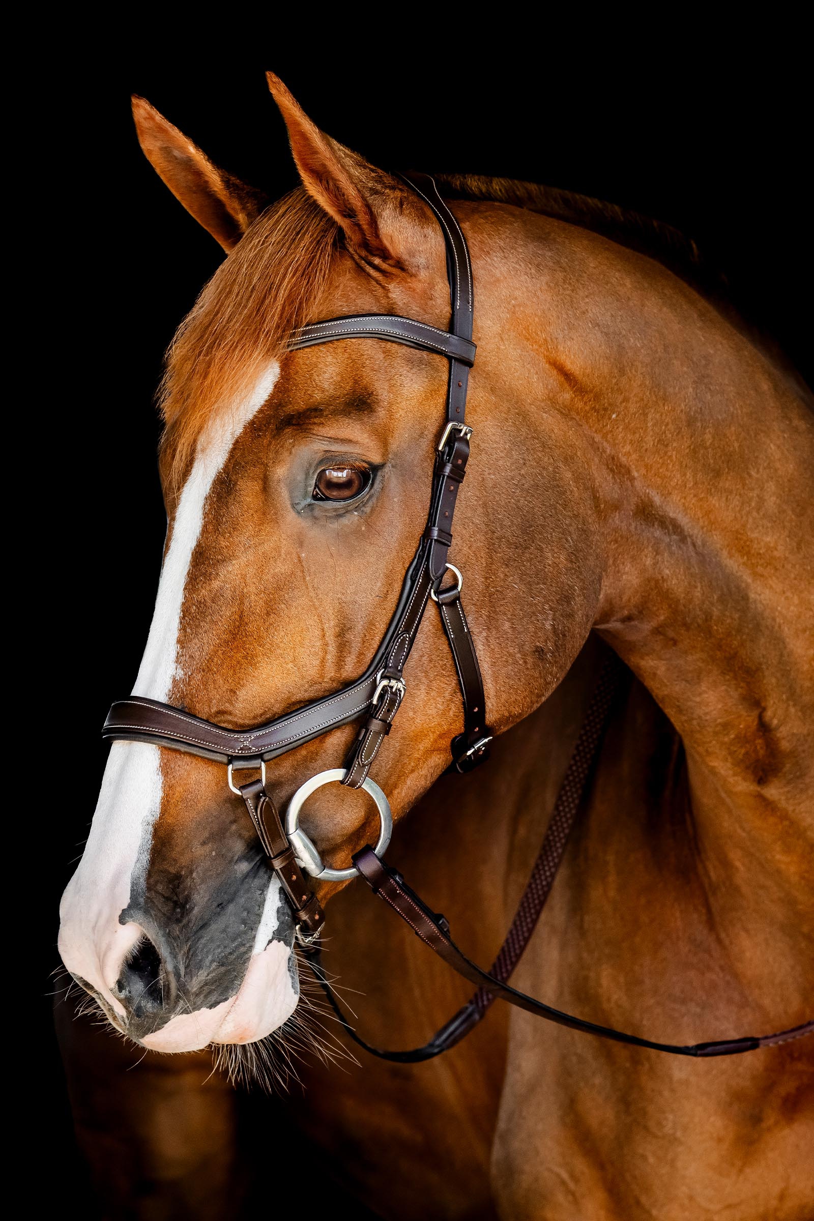 Horseware Rambo Micklem Competition Trensenzaum