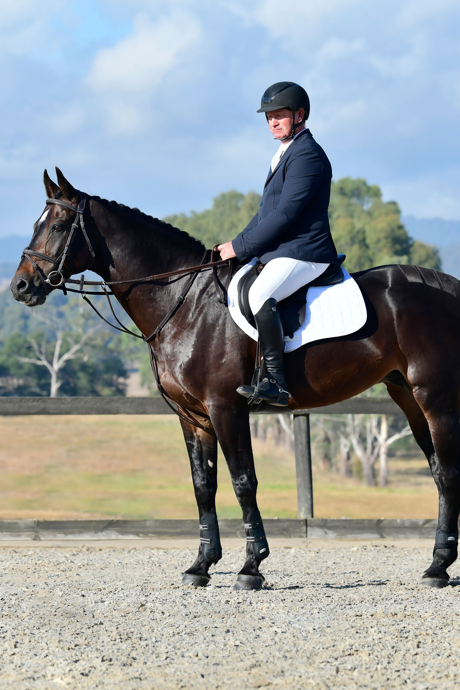 Collegiate Comfitec Opulux Fancy Stitch gepolsterte hannoversche Trense