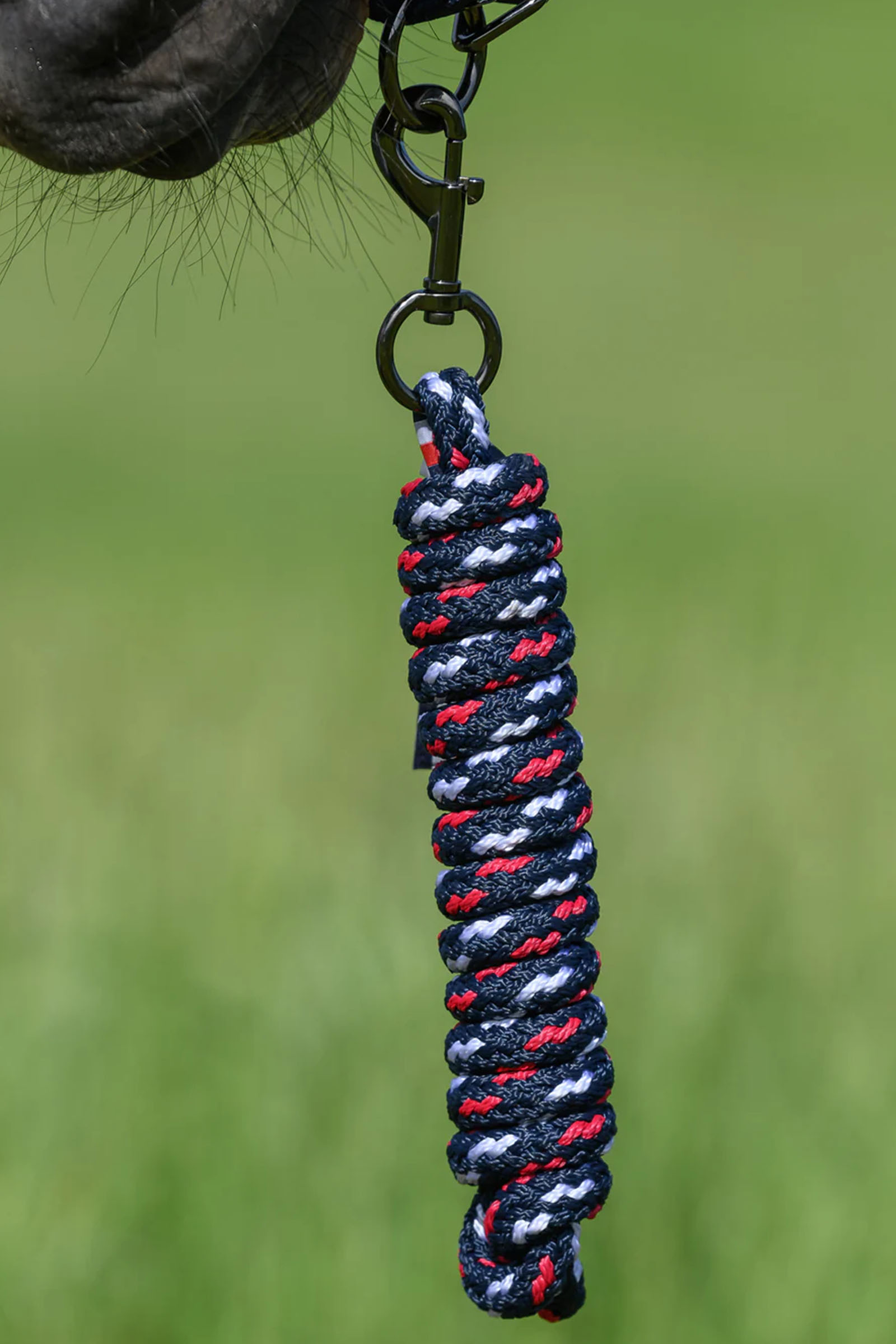 Tommy Hilfiger Equestrian Yale Halfter- und F&uuml;hrstrick-Set