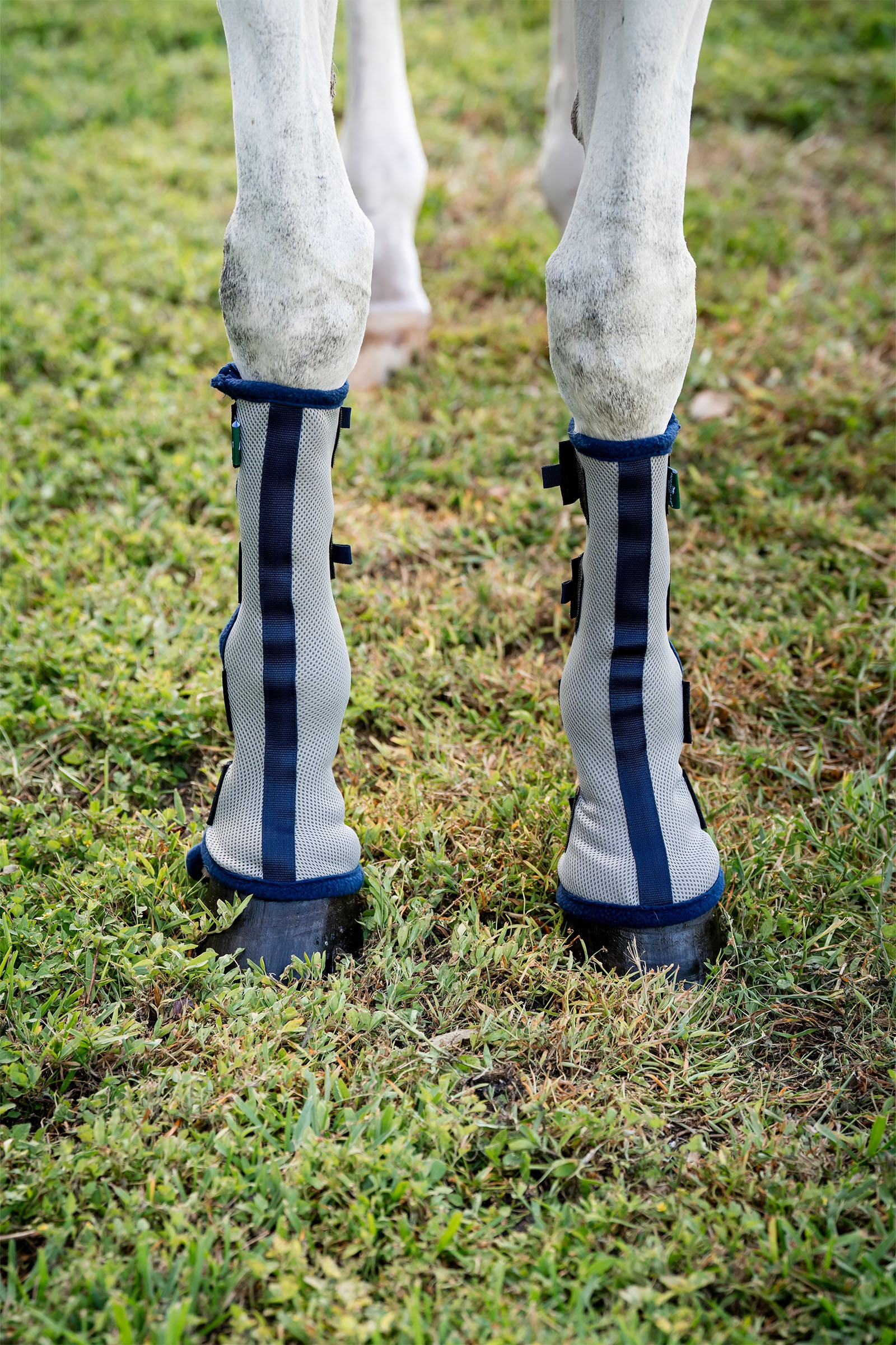 Horseware Fly Boots - Set aus 2