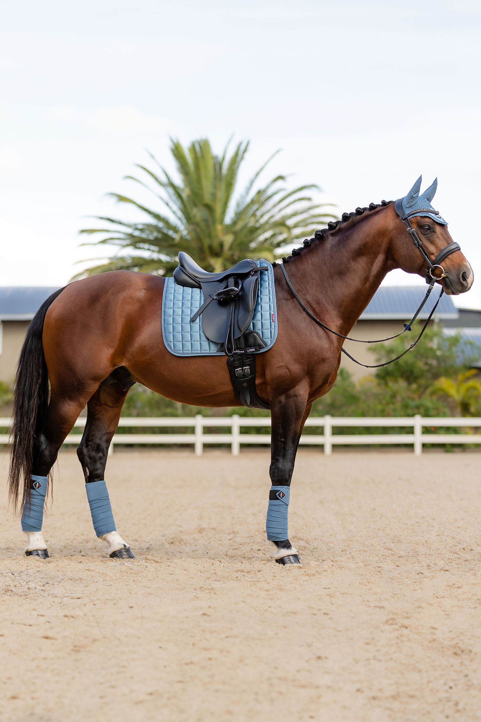 LeMieux Loire Dressurschabracke