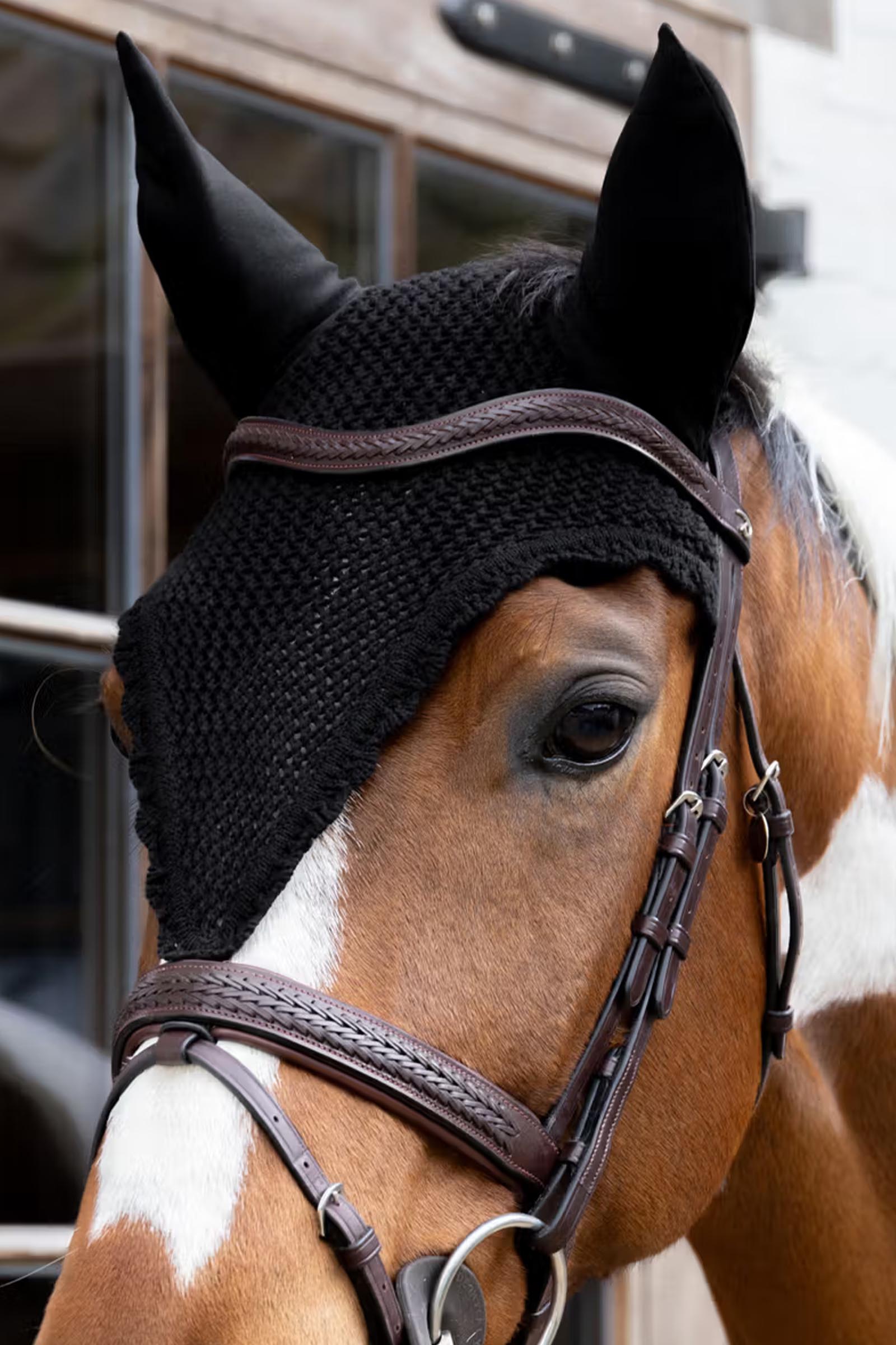 Kentucky lange Fliegenhaube  