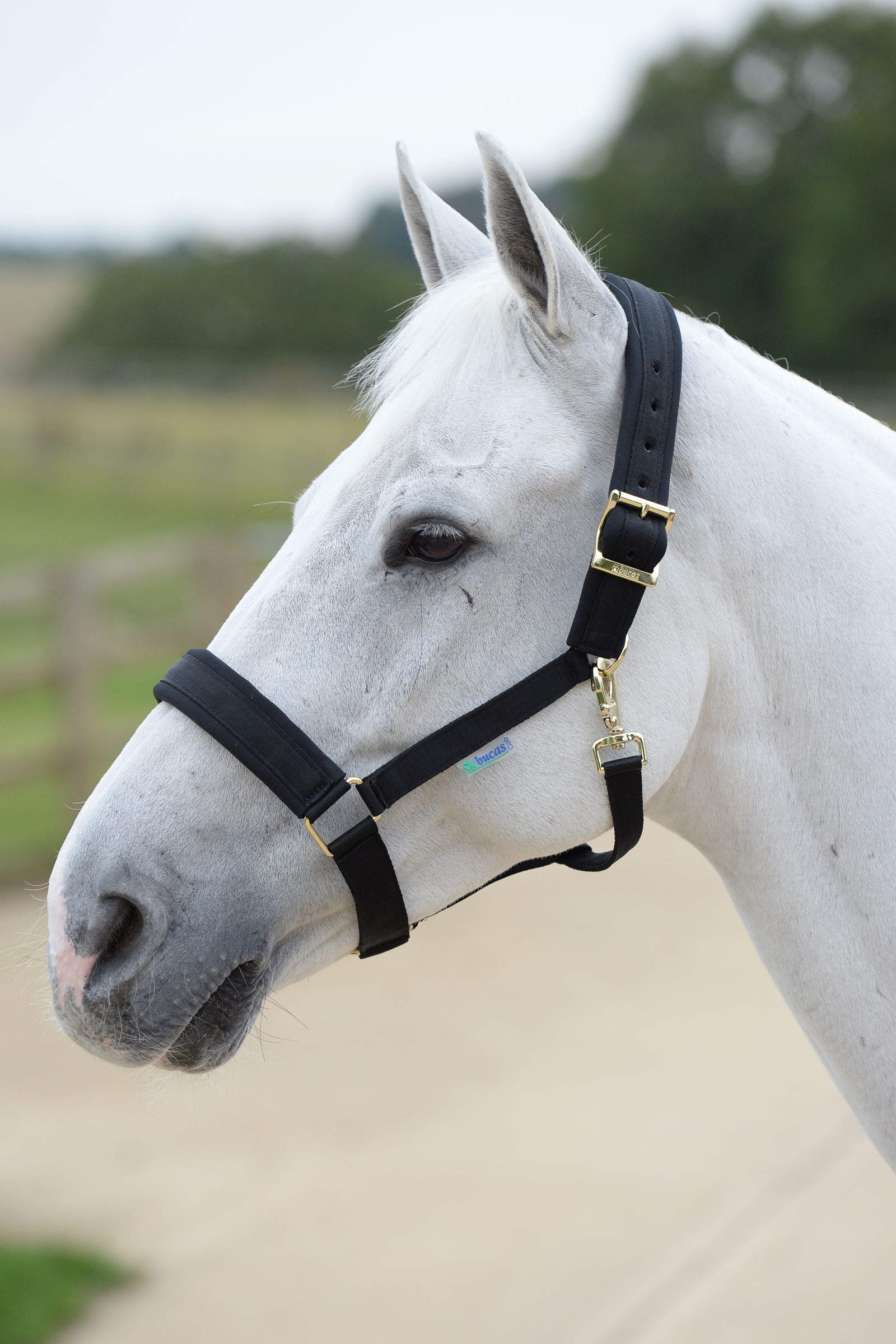 Bucas Comfort Halfter