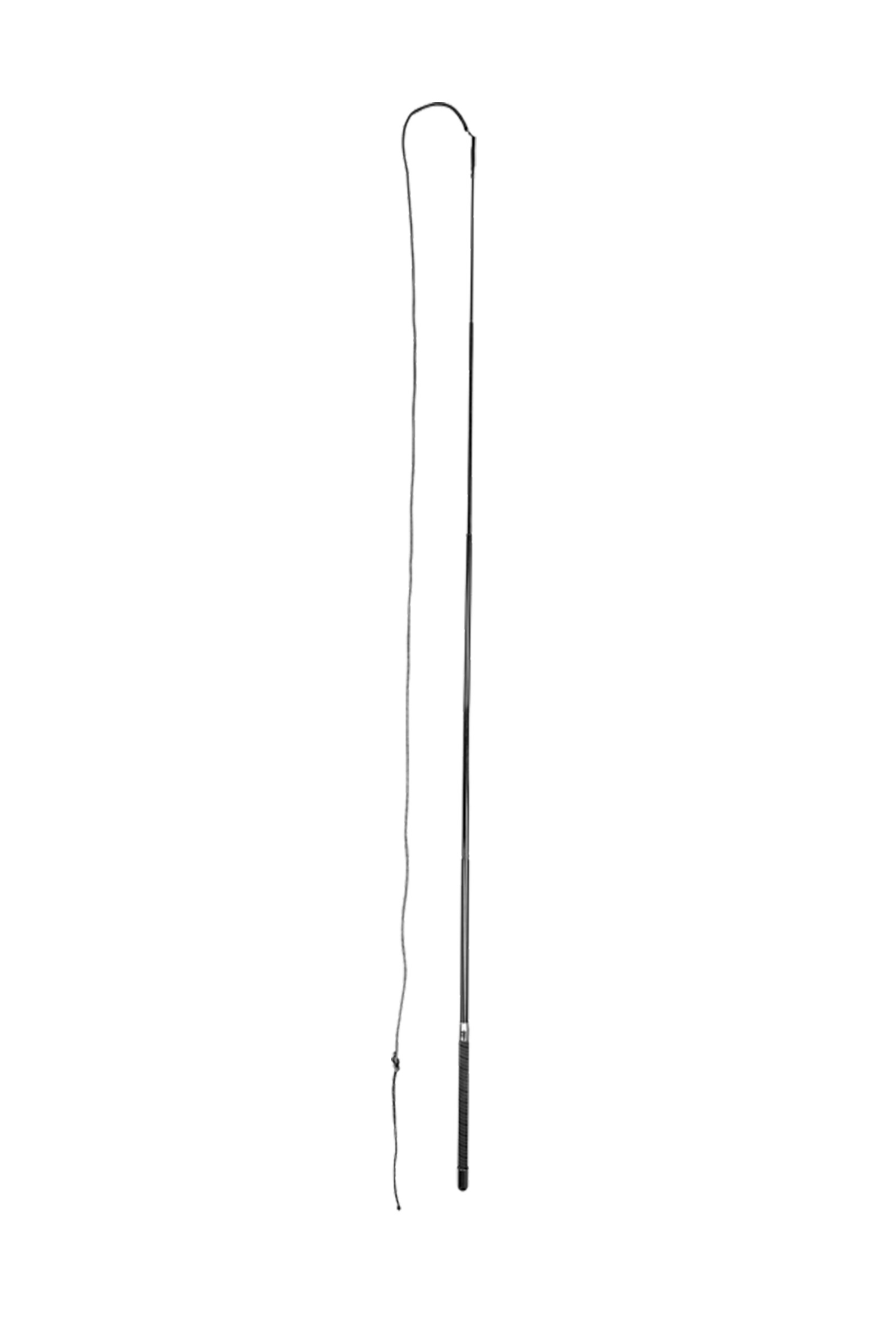 Waldhausen Longierpeitsche Superlight