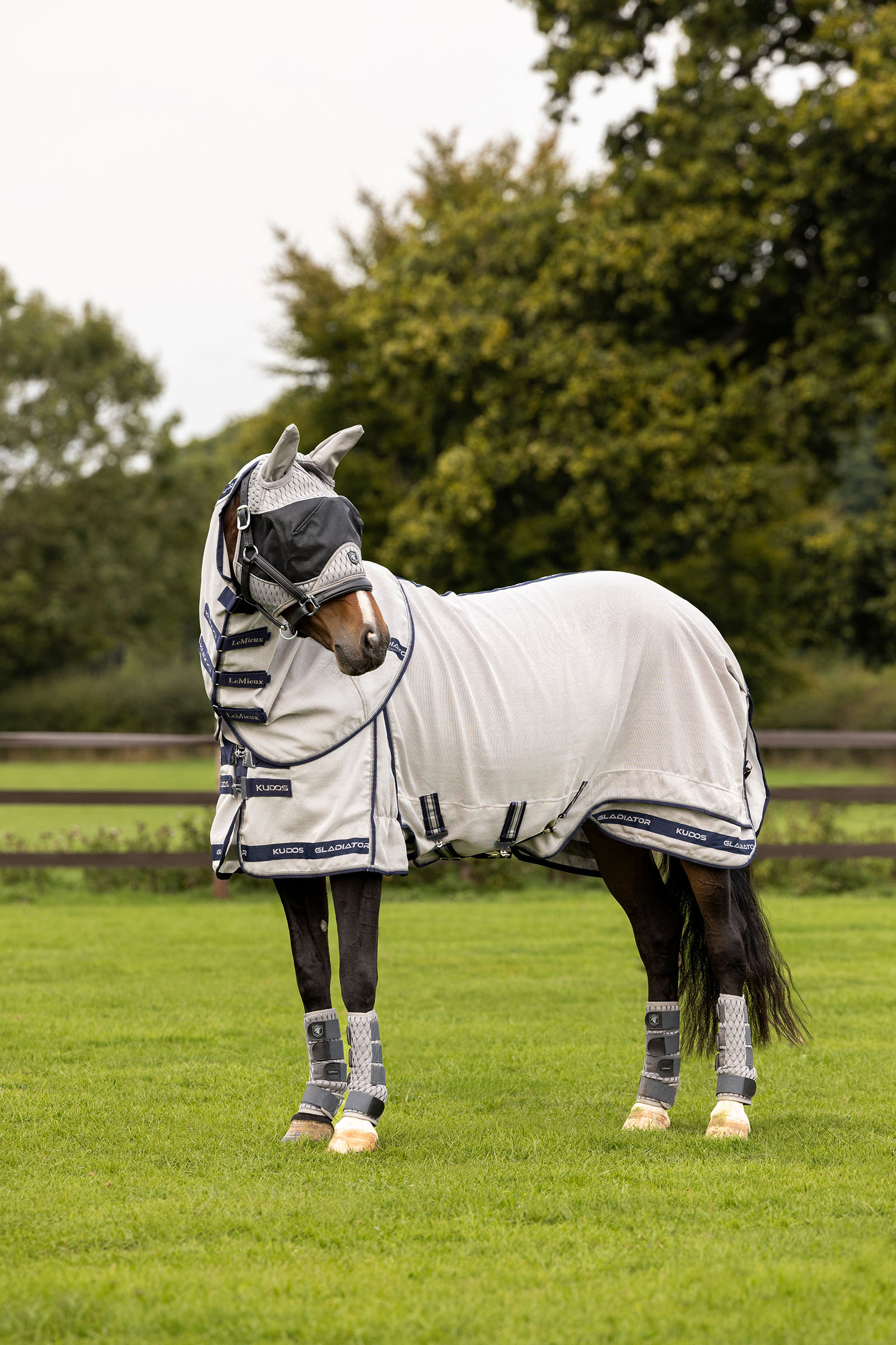 LeMieux Kudos Gladiator Fliegendecke