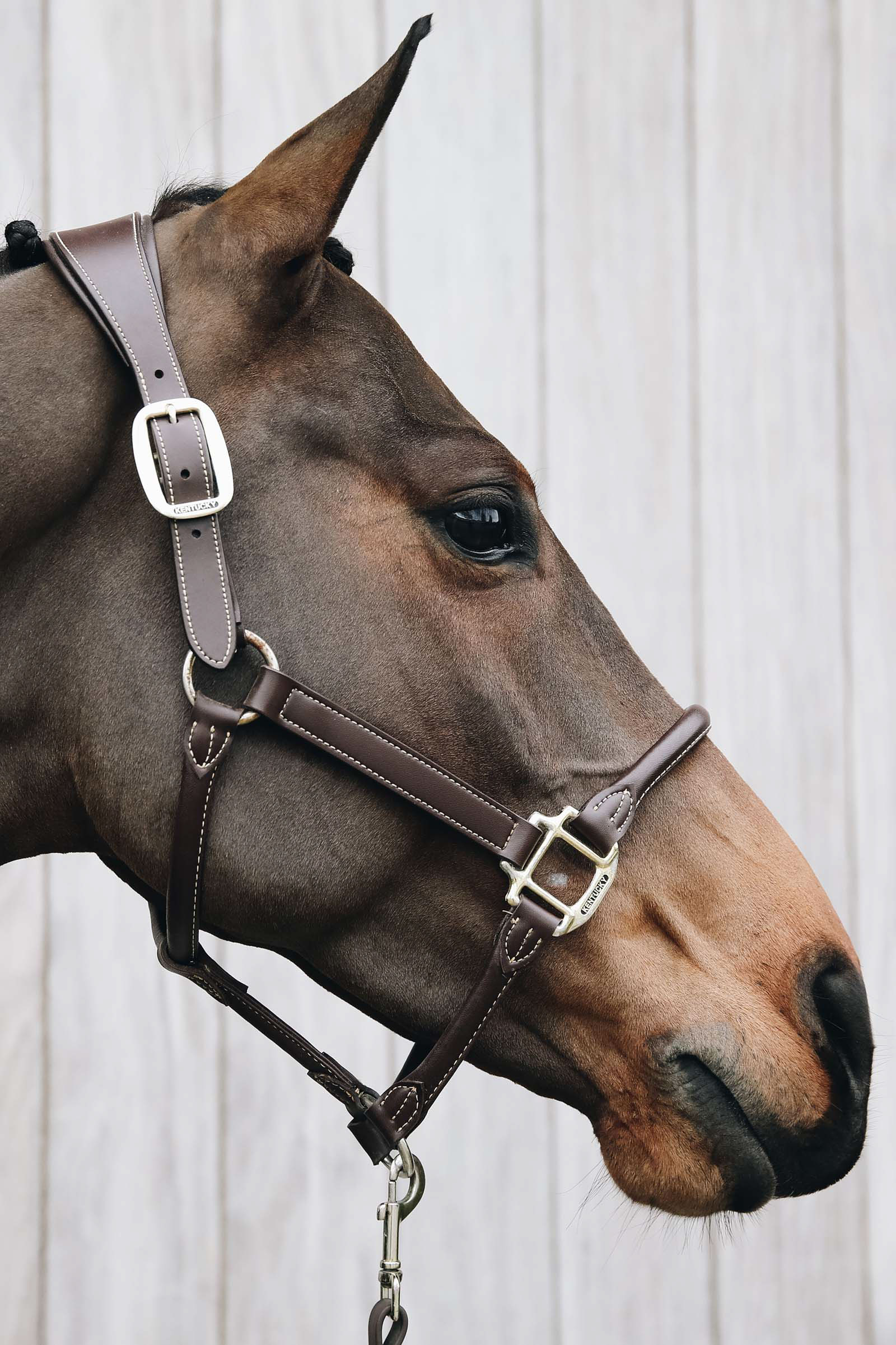 Kentucky Horsewear Lederhalfter Anatomic