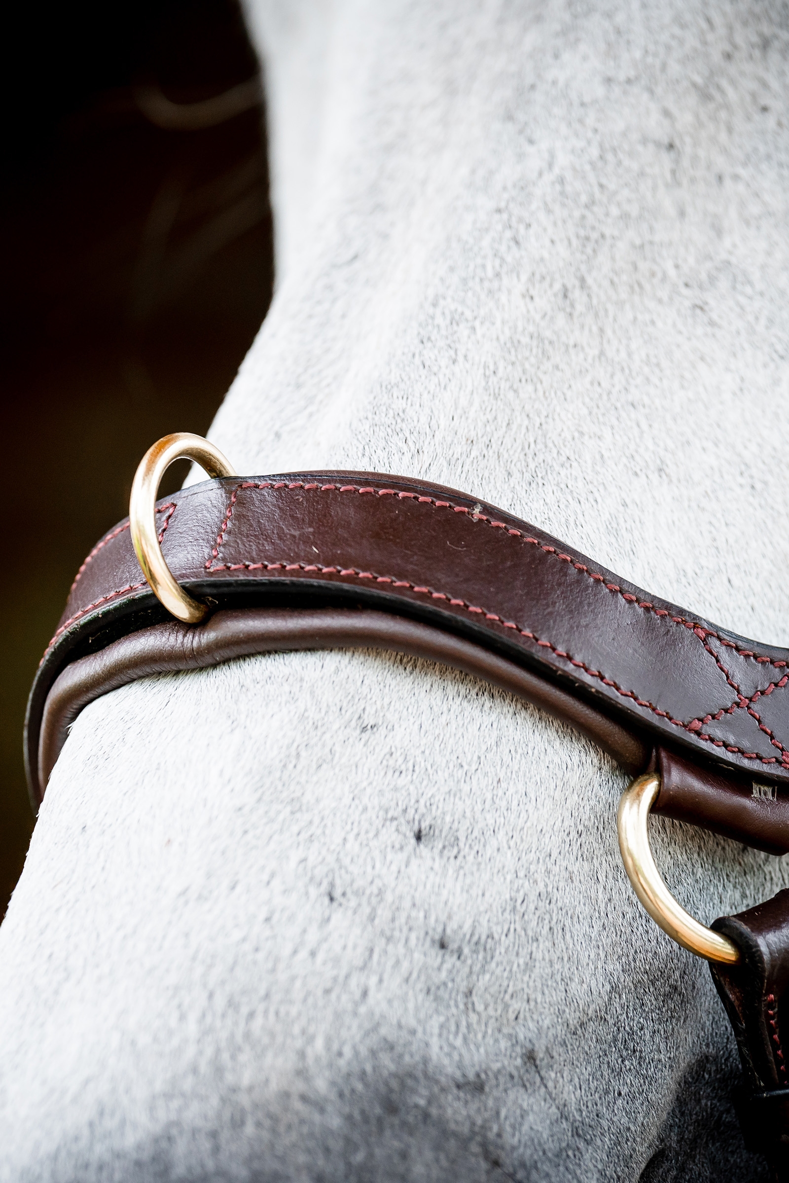 Horseware Micklem 2 Multi Trense