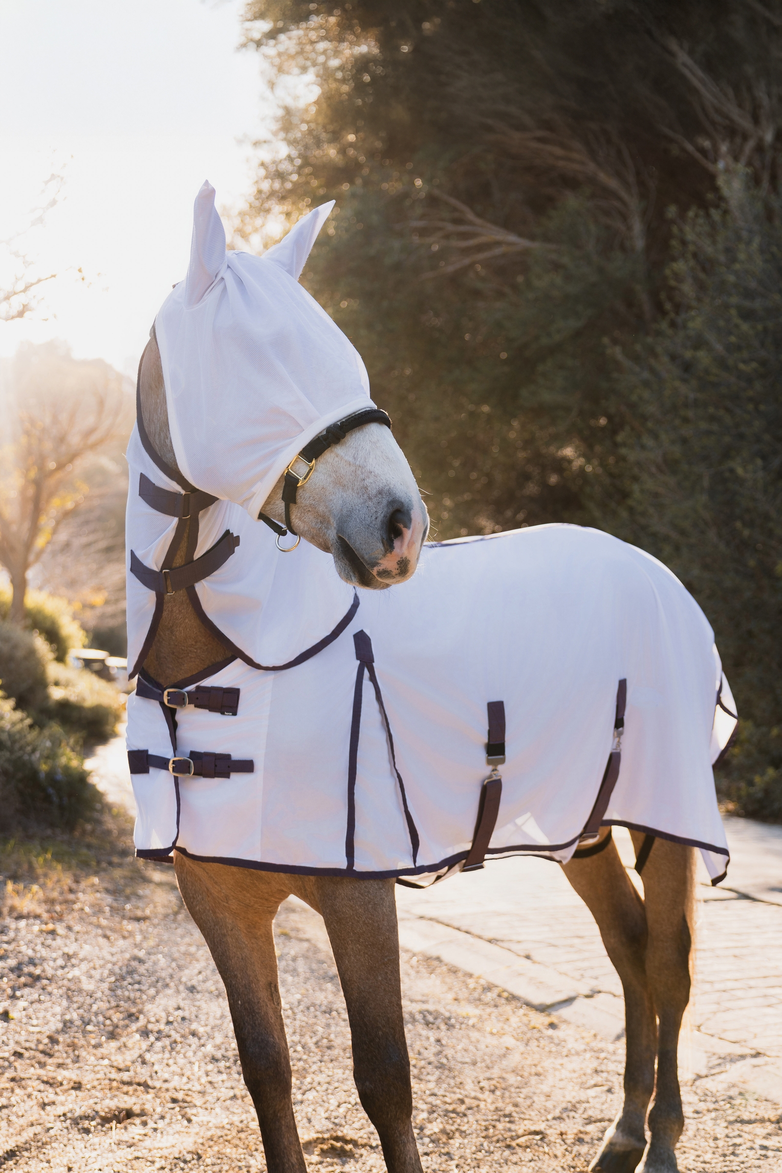 Horze La Paz Fliegenset mit Decke, abnehmbarem Halsteil und Maske