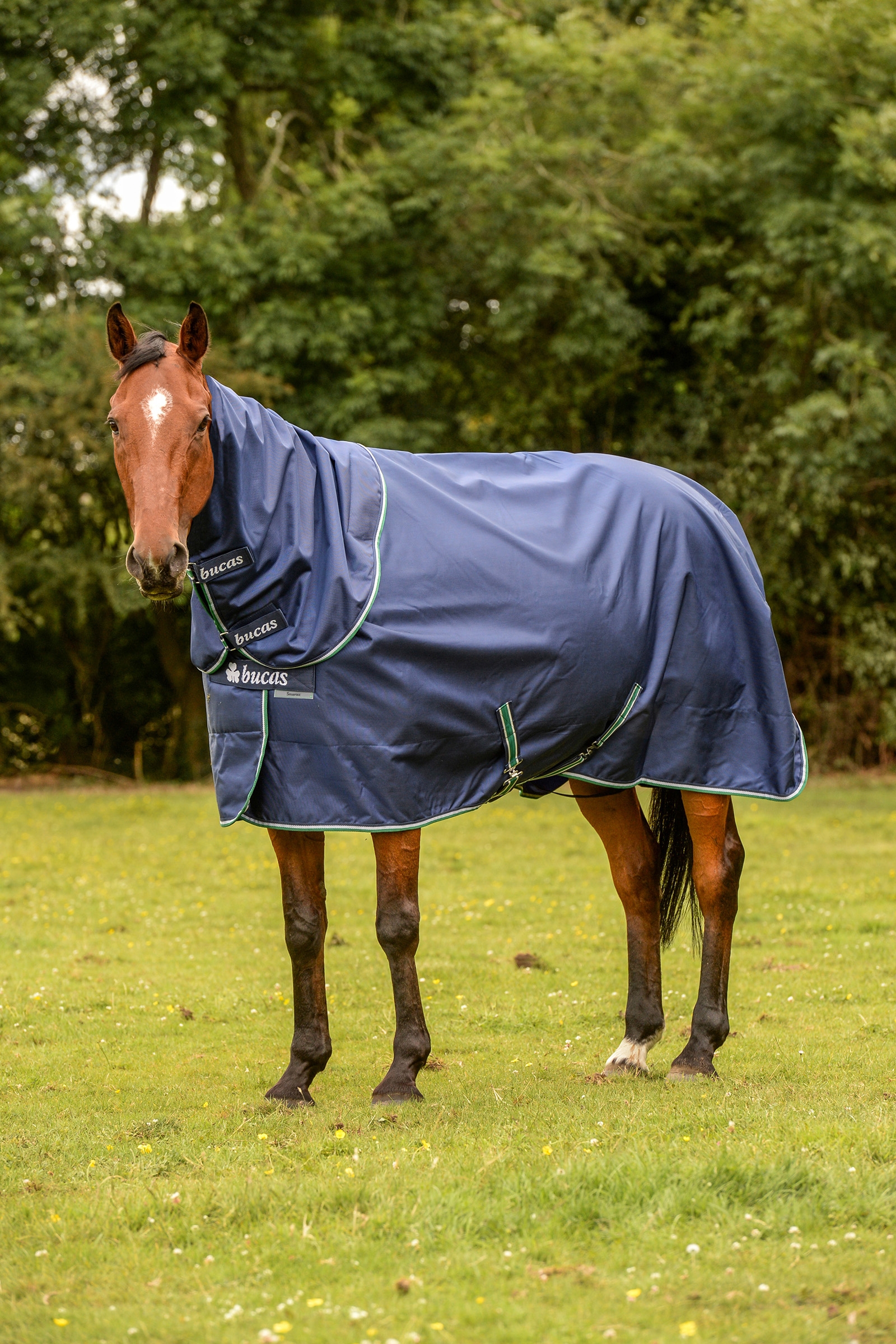 Bucas Smartex Rain Pony Regendecke mit Abschwitzfunktion, 0g