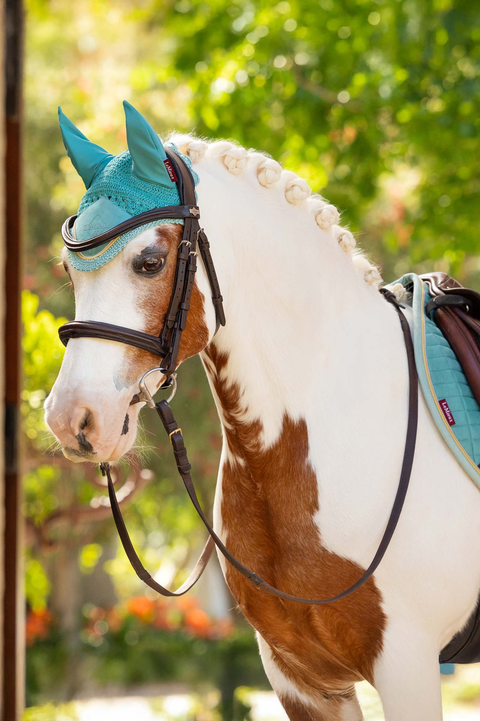 LeMieux Classic Fliegenhaube