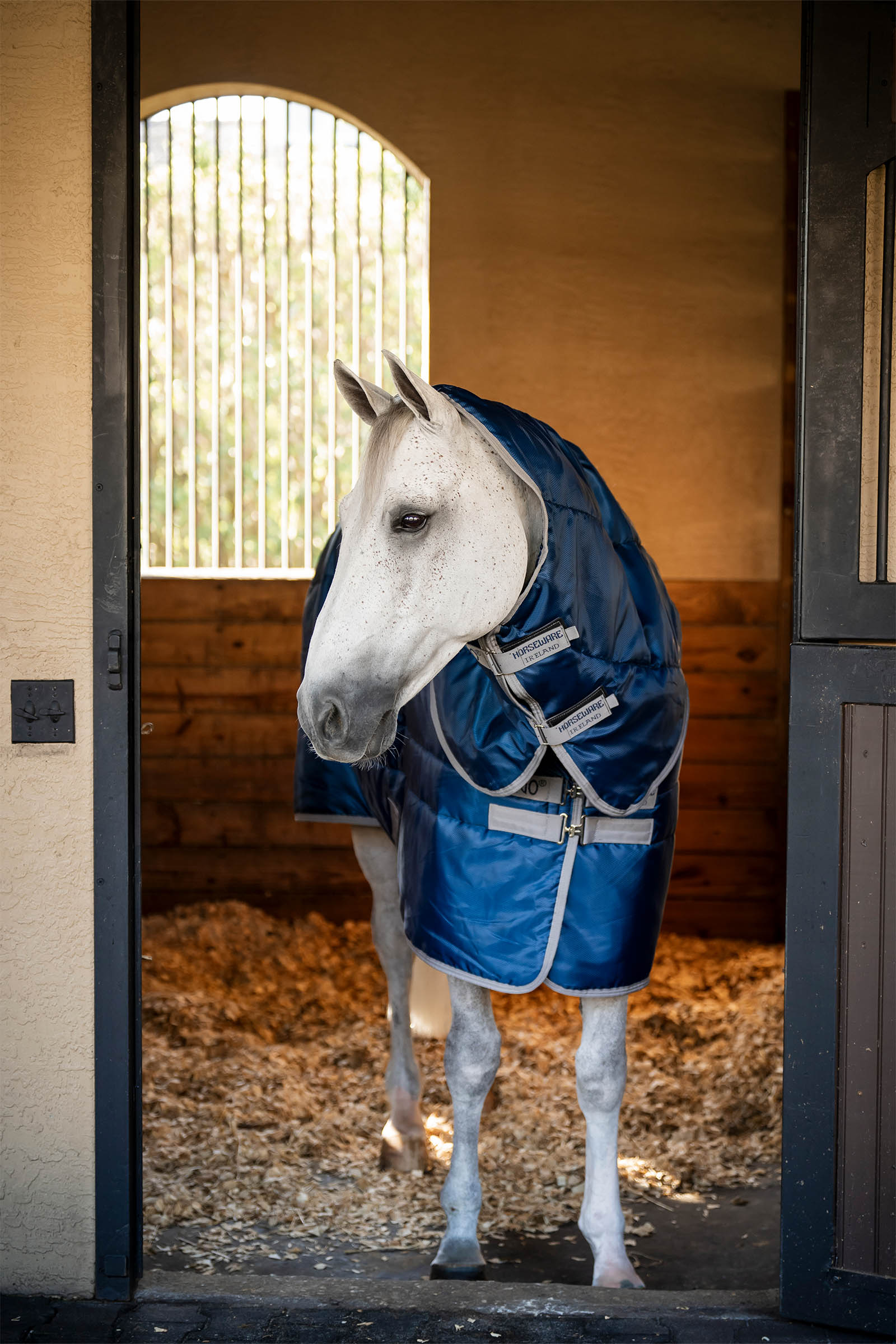 Horseware Amigo Ripstop Insulator Plus Stalldecke, 350 g