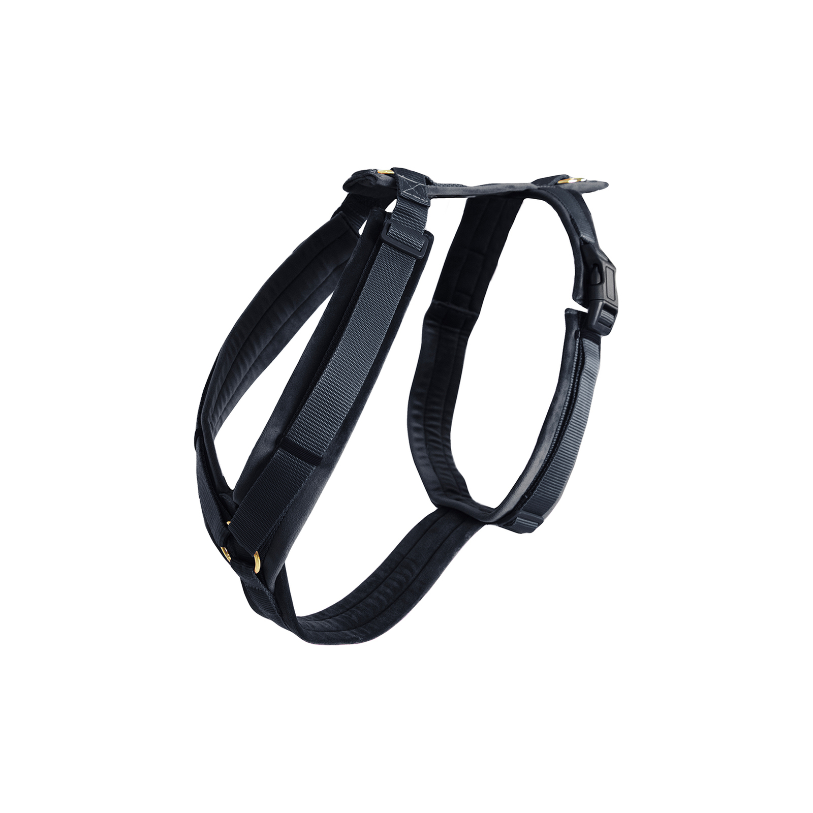 Black Kentucky Dogwear Velvet Active Harness