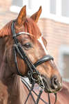 Kavalkade Sonya Weymouth Bridle
