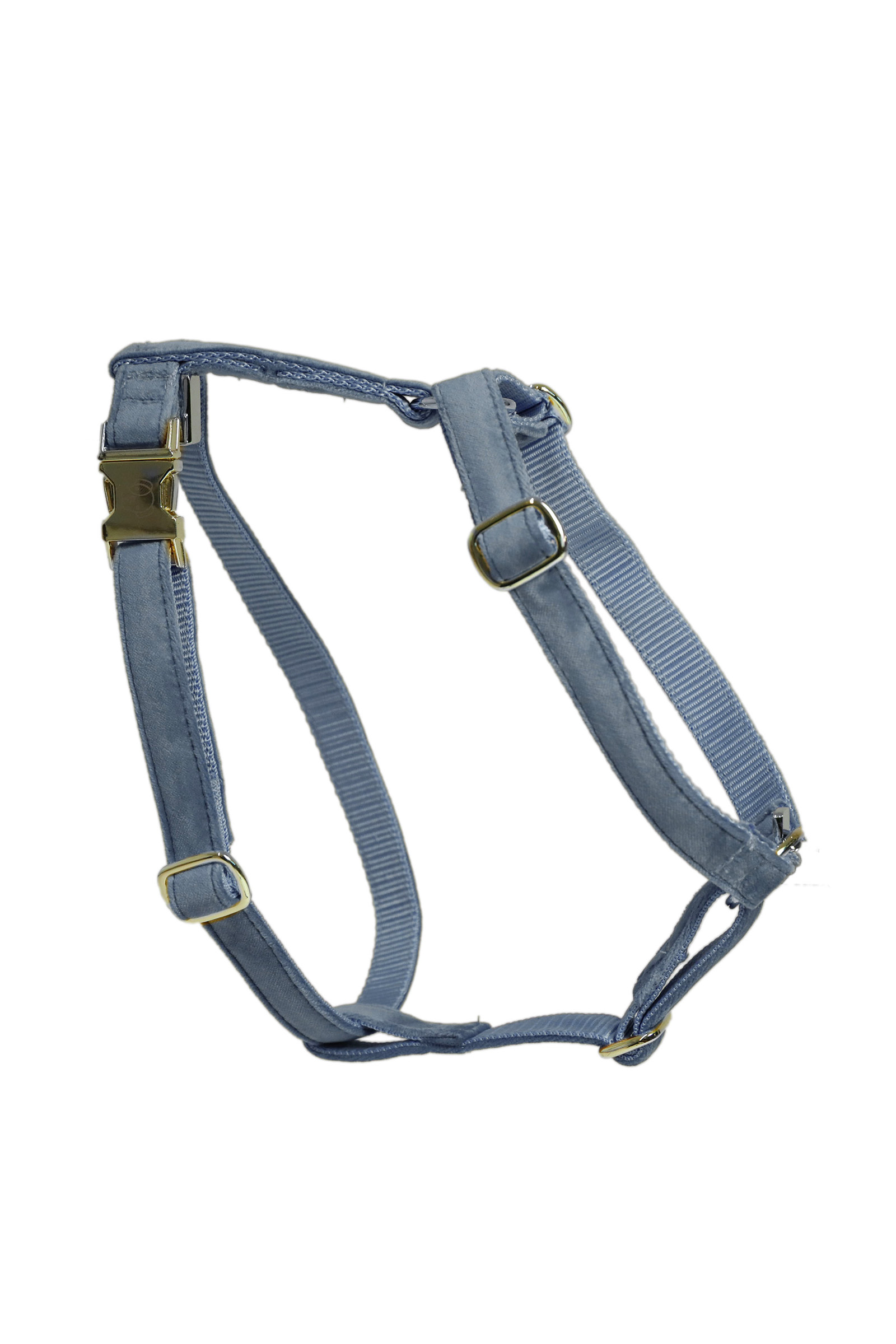 Kentucky Dogwear Loop Velvet Hundegeschirr