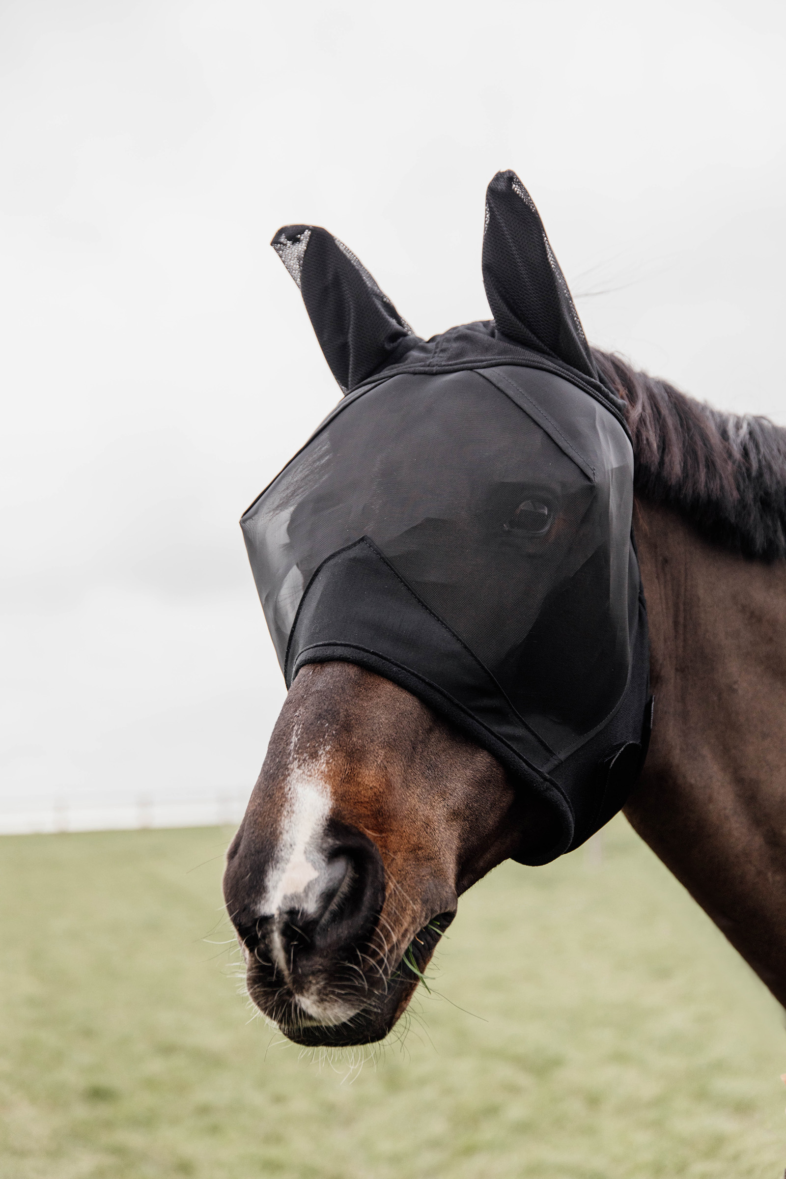 Kentucky Horsewear Classic Fliegenmaske mit Ohren