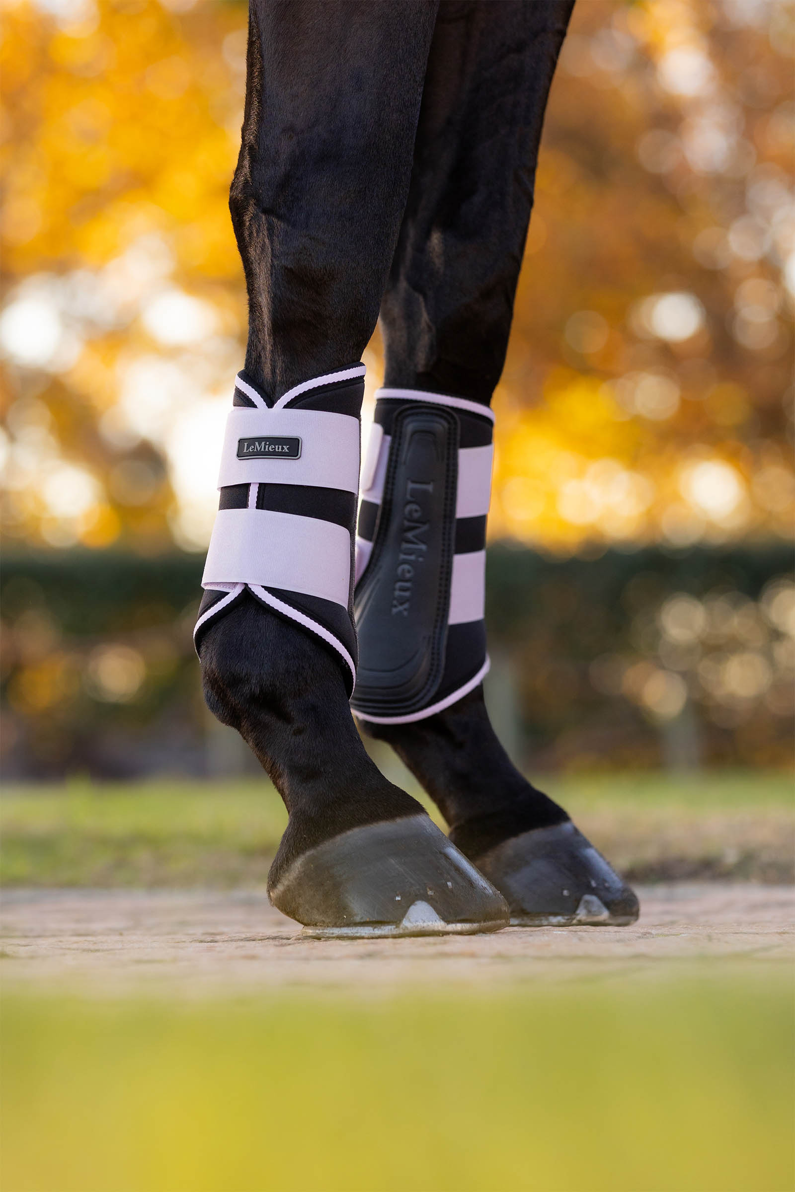 LeMieux Grafter Dressurgamaschen