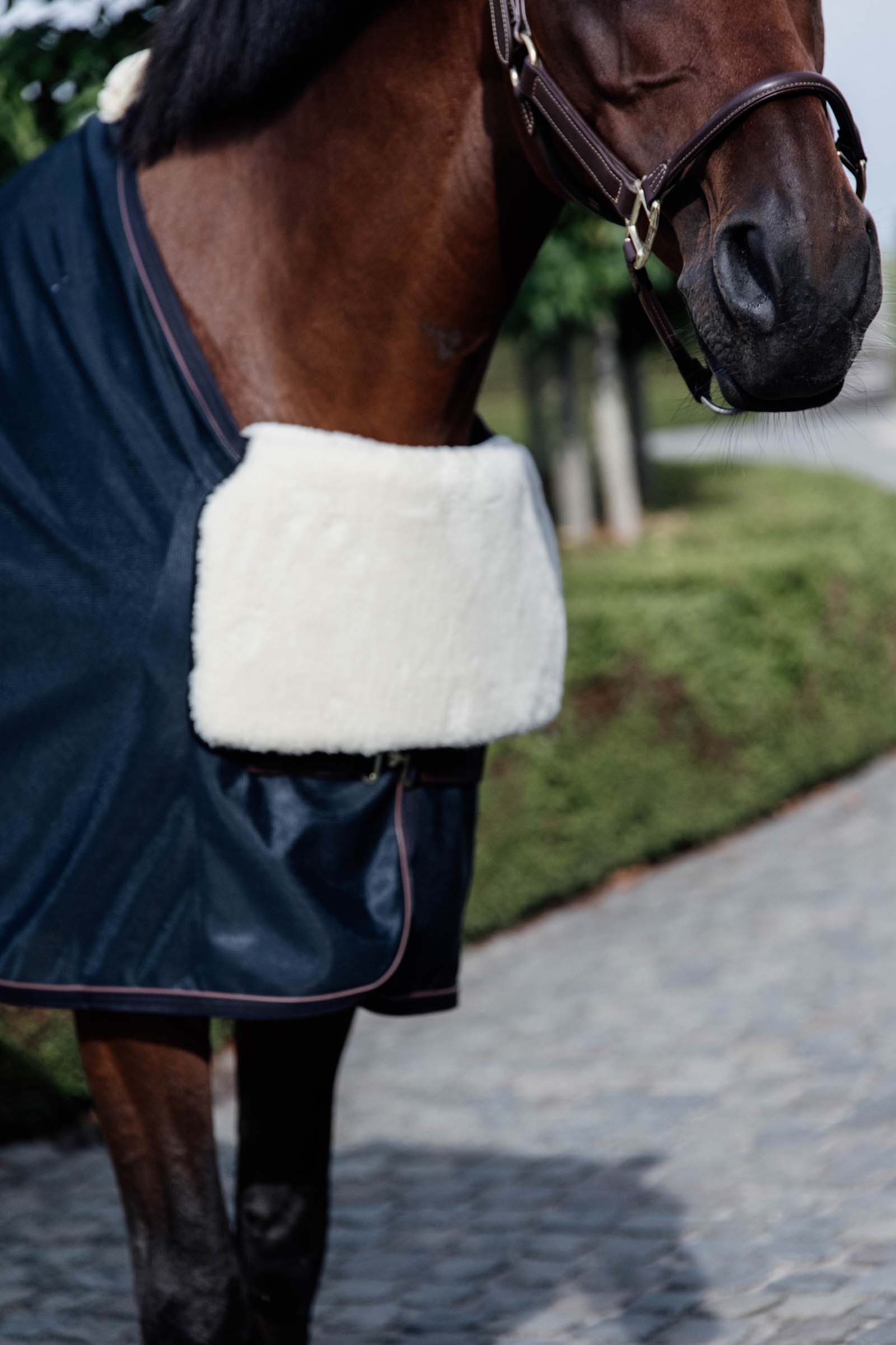 Kentucky Horsewear Horse Bib Lammfell Brustschutz