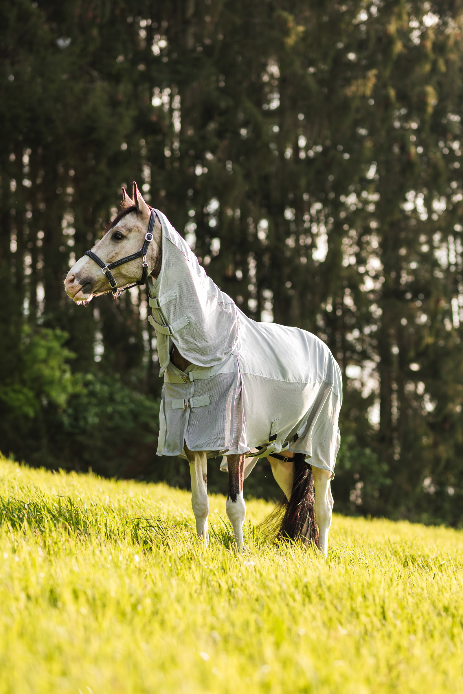 Horze Nevada Combo Regen-/Fliegendecke mit abnehmbarem Halsteil