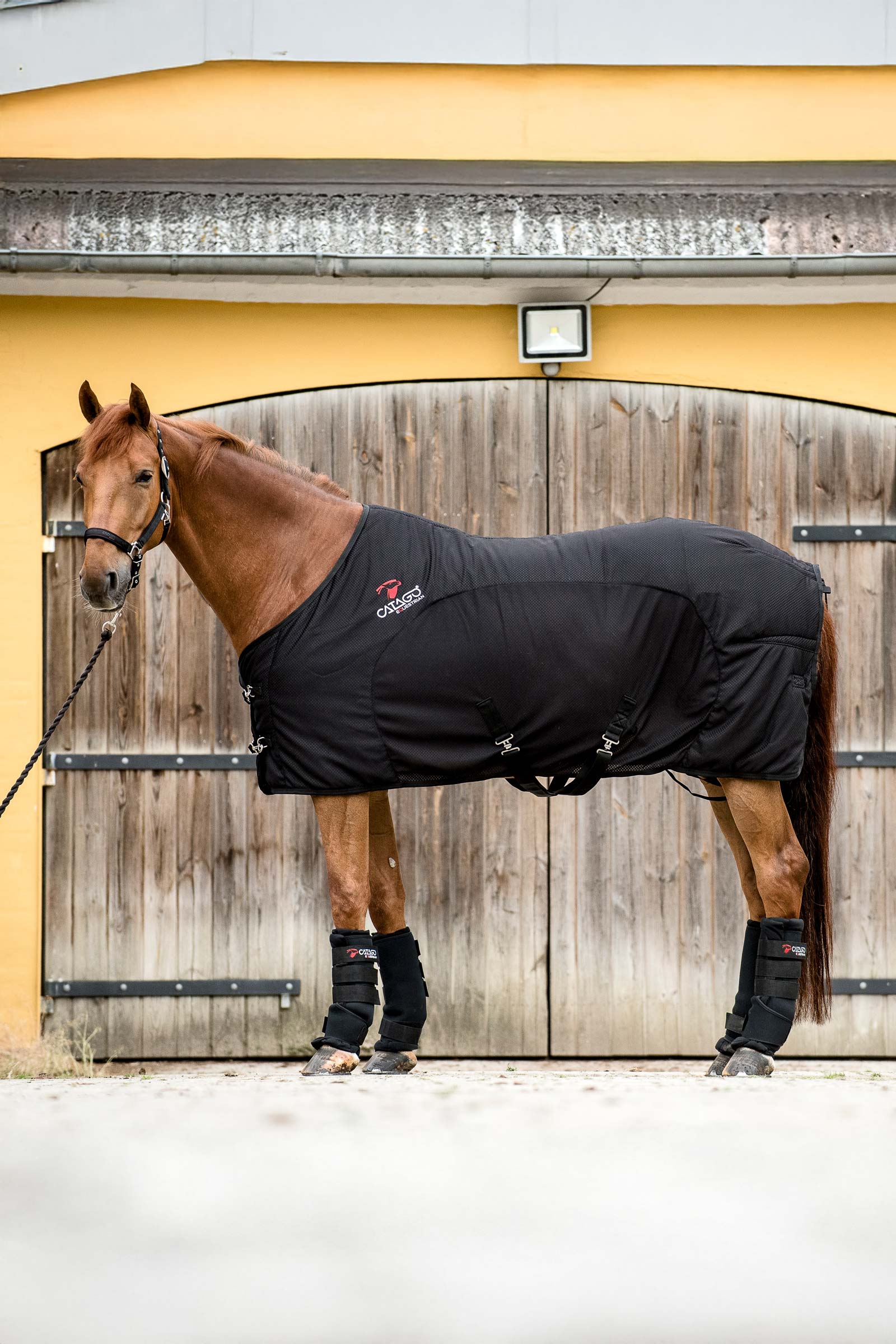 CATAGO FIR-Tech Decke